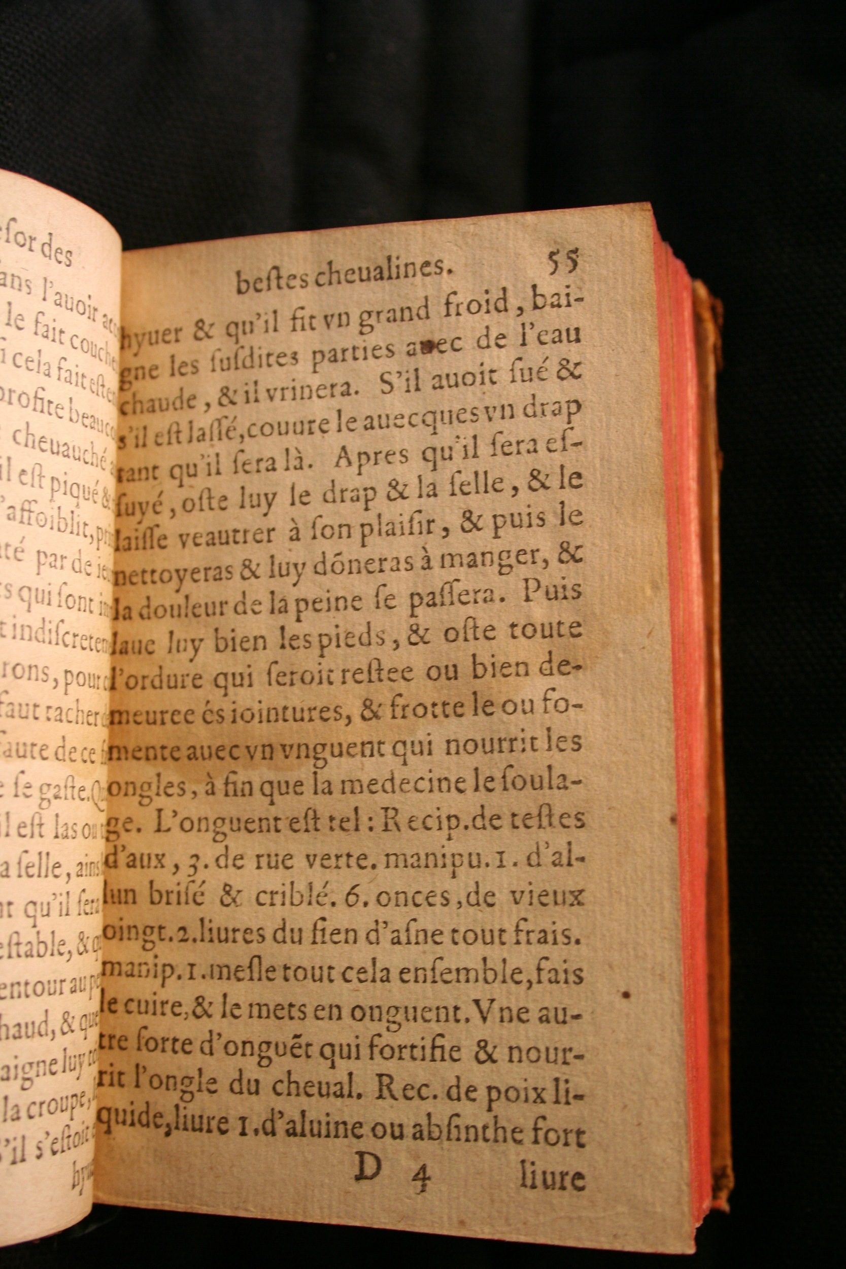 1591 - Pierre Chastaing et Benoît Rigaud - Trésor des bêtes chevalines - BM Bordeaux