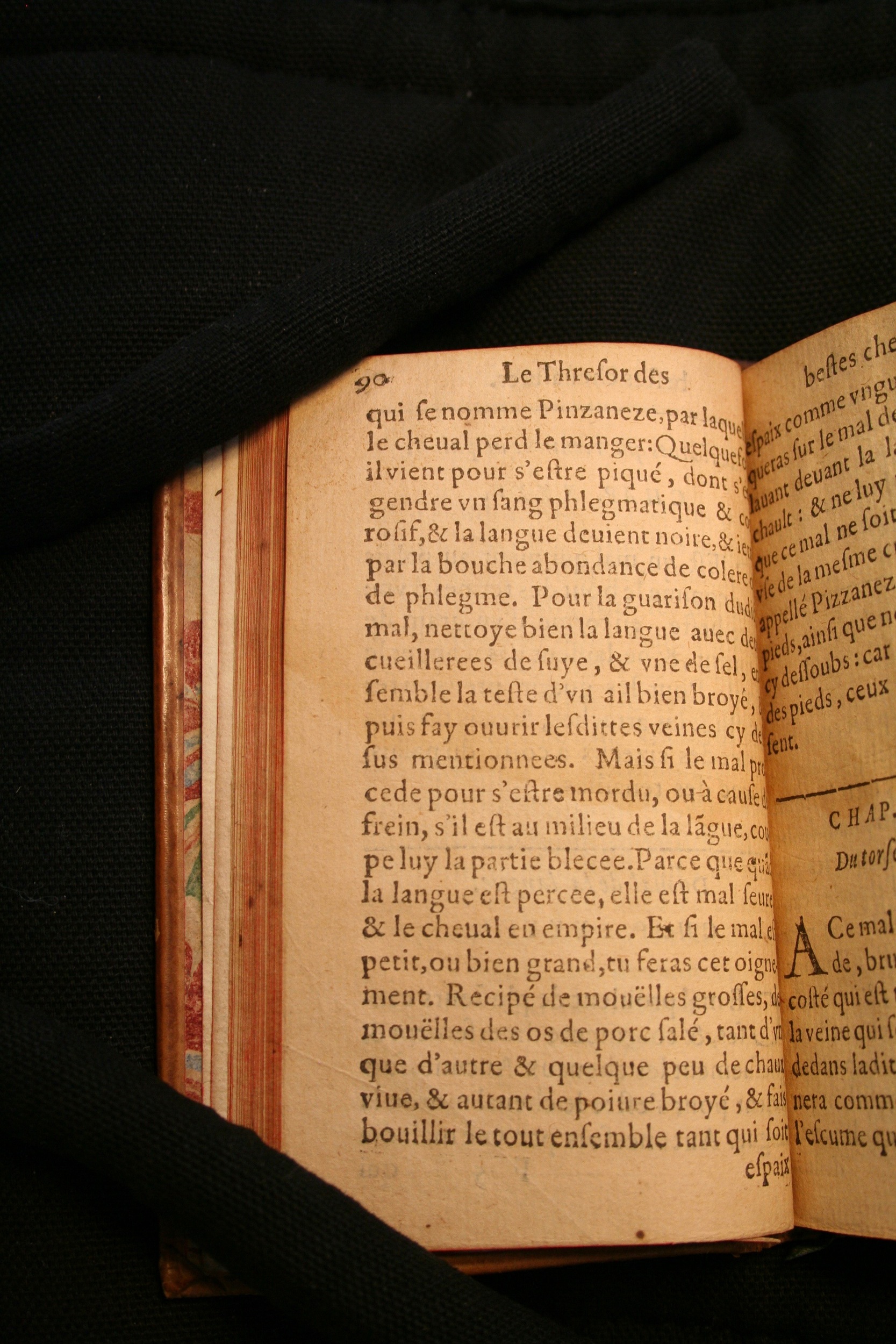 1591 - Pierre Chastaing et Benoît Rigaud - Trésor des bêtes chevalines - BM Bordeaux