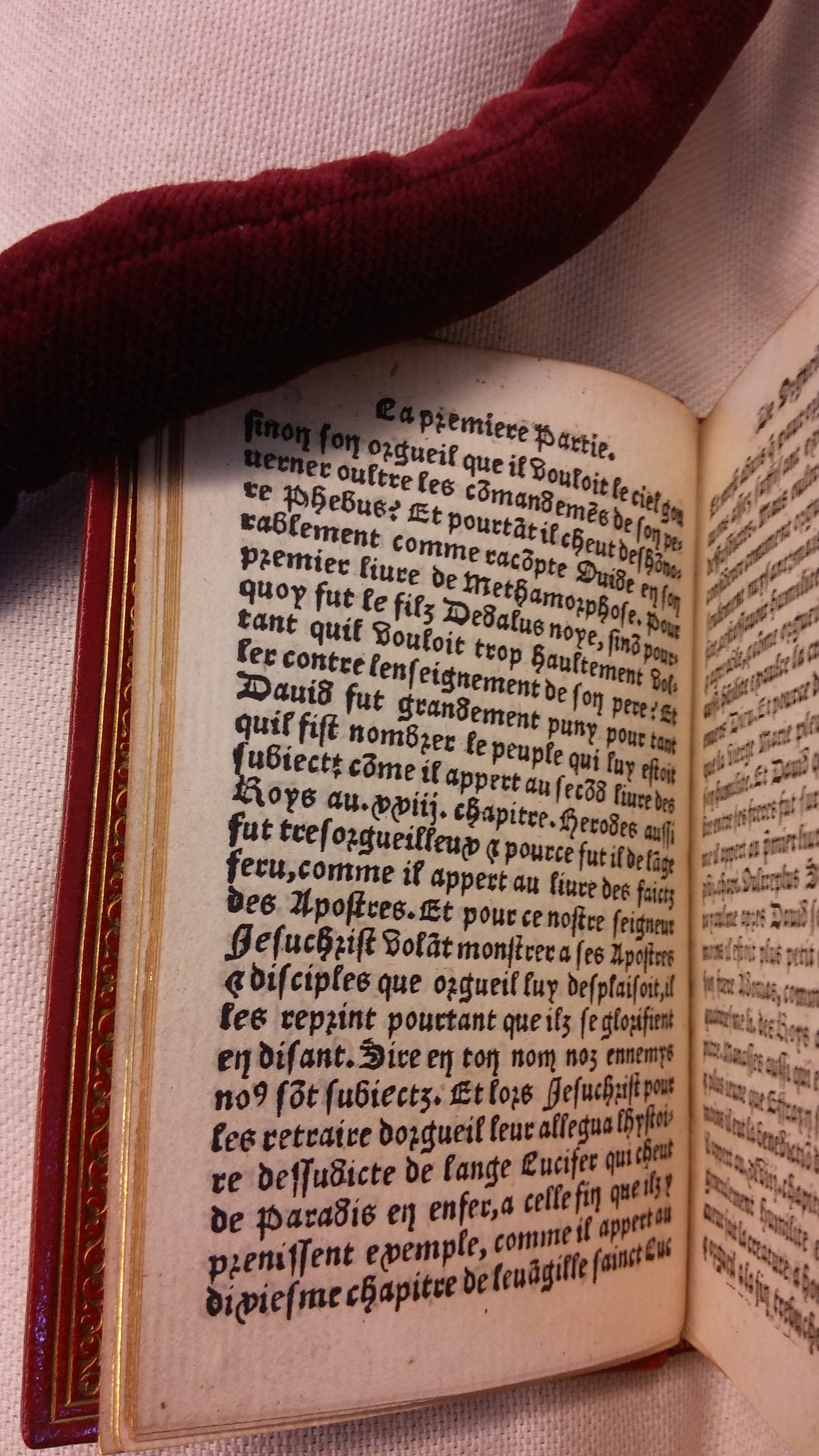 1542 - Denis de Harsy - Trésor de sapience et fleur de toute bonté - BIS