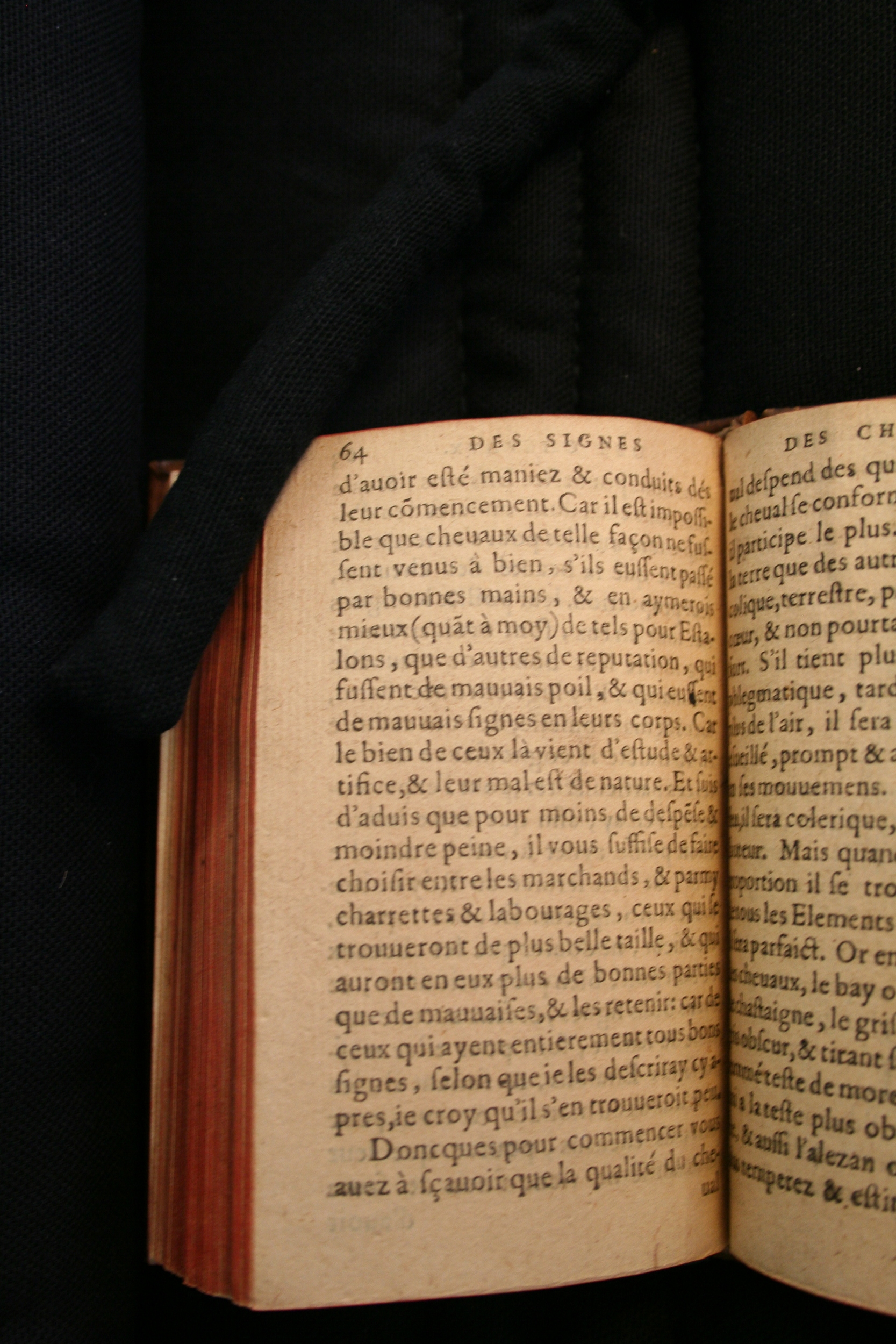 1591 - Pierre Chastaing et Benoît Rigaud - Trésor des bêtes chevalines - BM Bordeaux