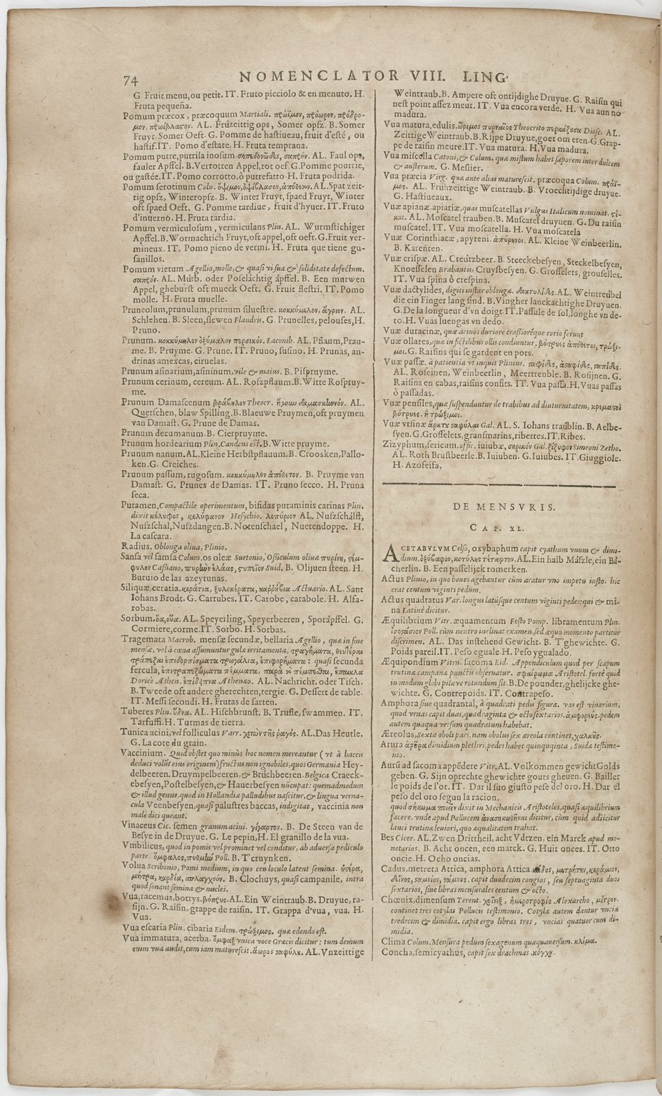 1606 - David Douceur - Trésor de la langue française - BnF