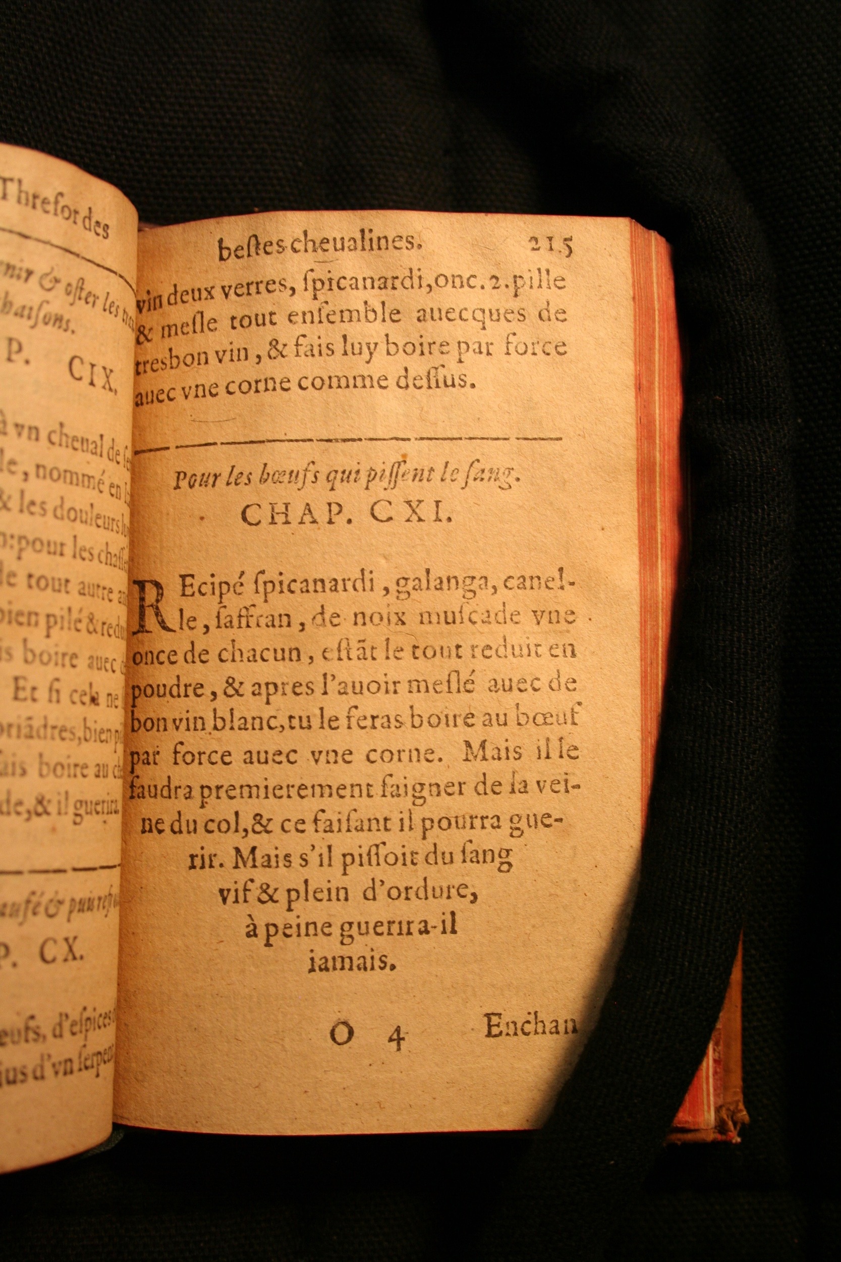 1591 - Pierre Chastaing et Benoît Rigaud - Trésor des bêtes chevalines - BM Bordeaux