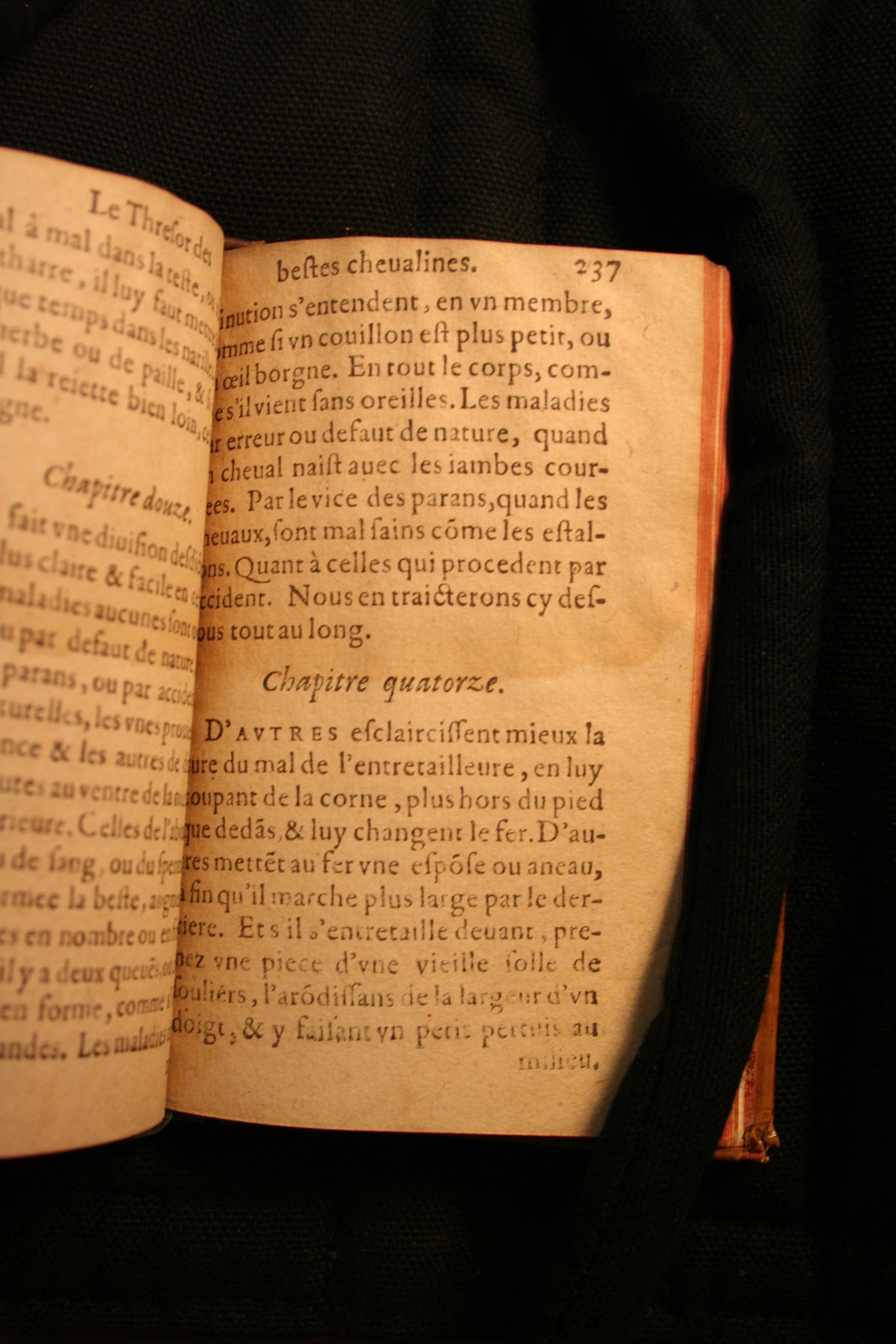 1591 - Pierre Chastaing et Benoît Rigaud - Trésor des bêtes chevalines - BM Bordeaux