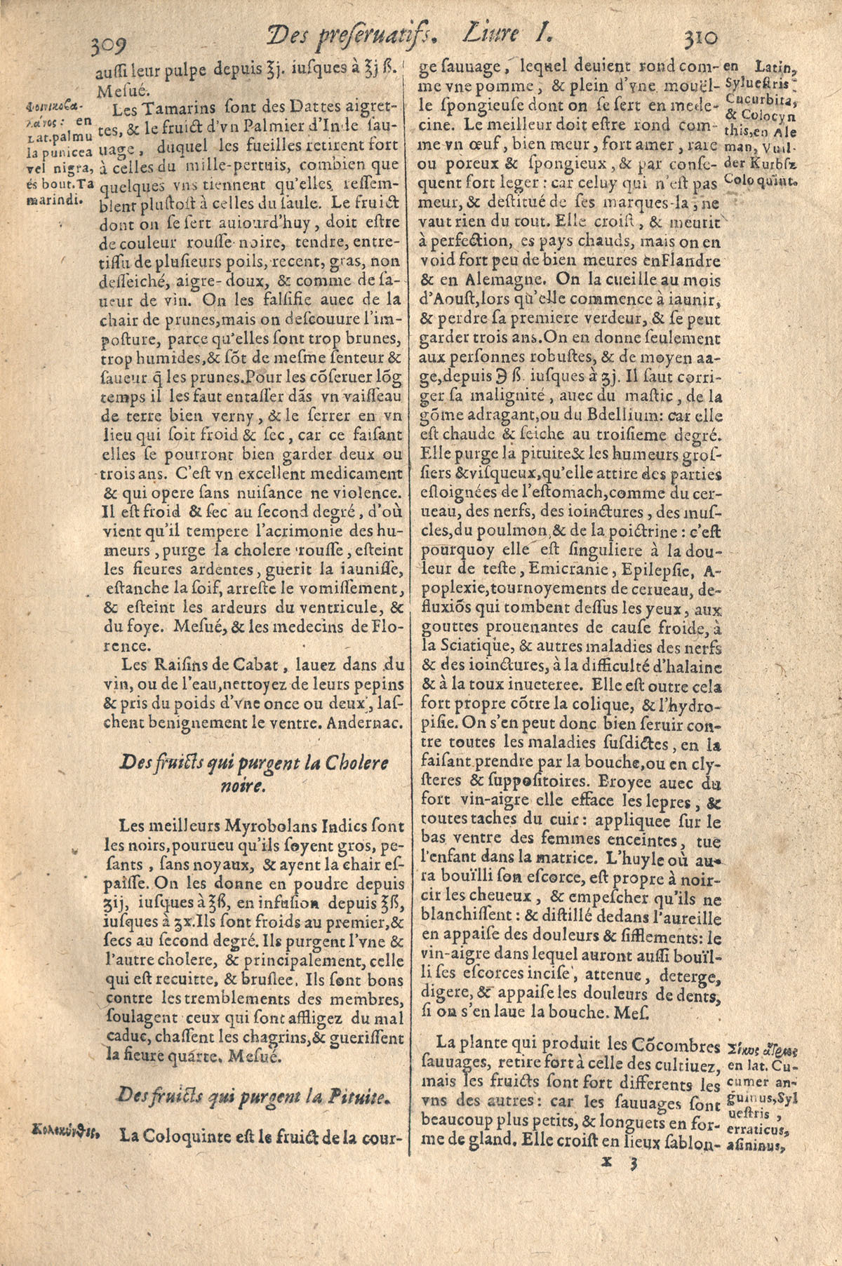 1610 - Étienne Gamonet - Grand Trésor ou dispensaire - CESR Tours