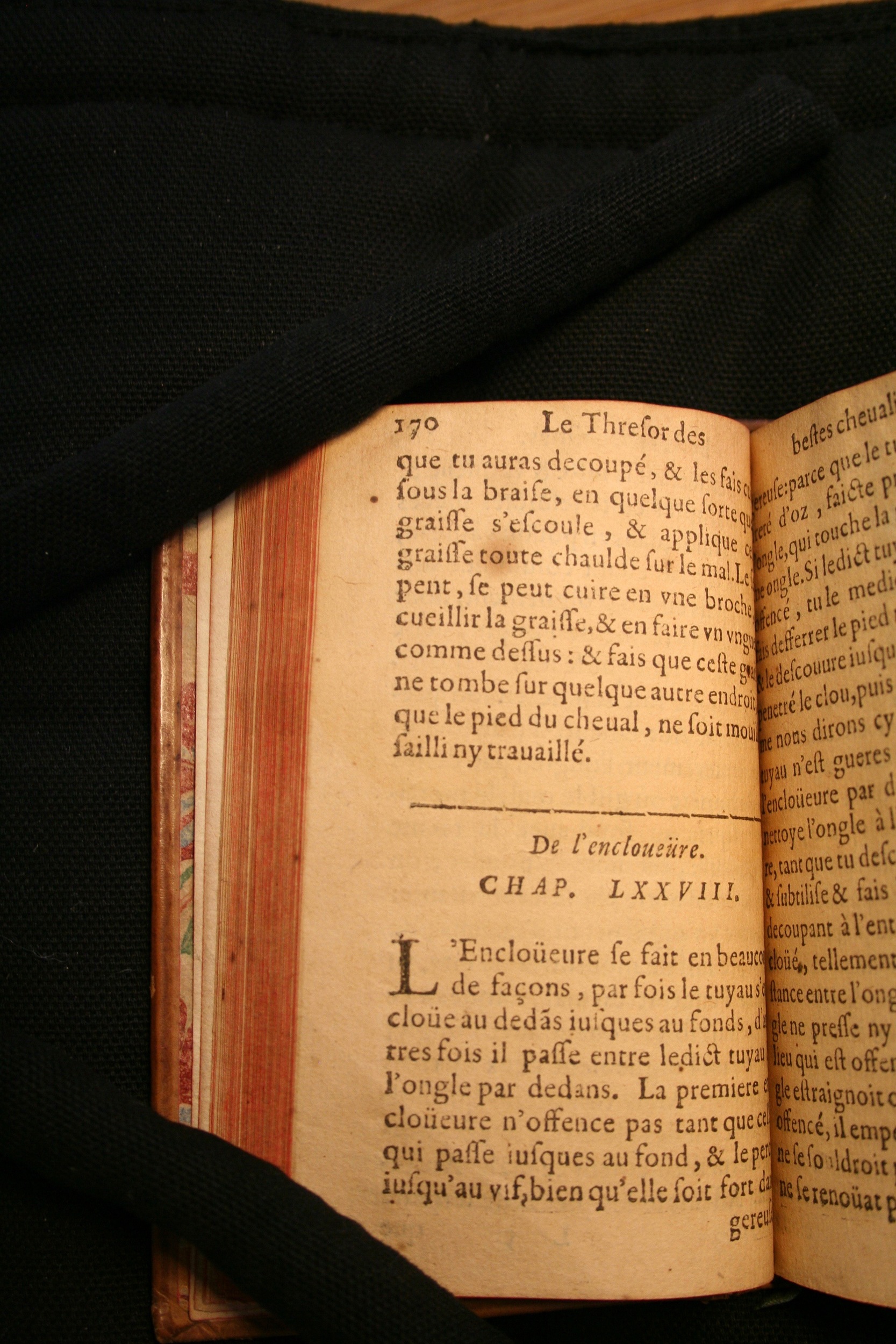 1591 - Pierre Chastaing et Benoît Rigaud - Trésor des bêtes chevalines - BM Bordeaux