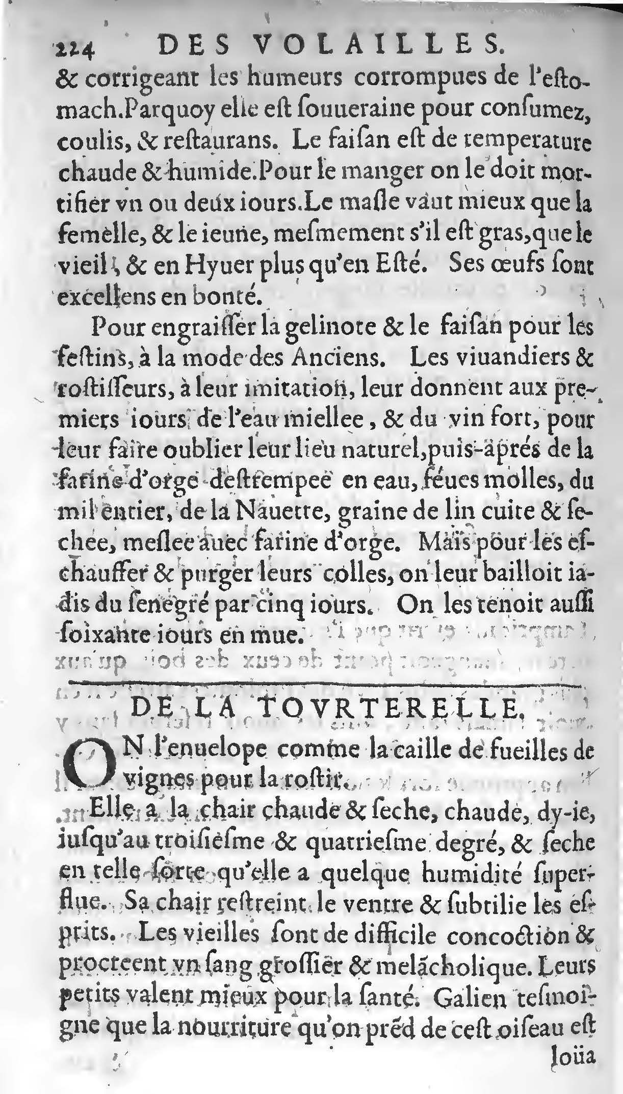 1607 - Étienne Servain et Jean Antoine Huguetan - Trésor de santé ou ménage de la vie humaine - BIU Santé