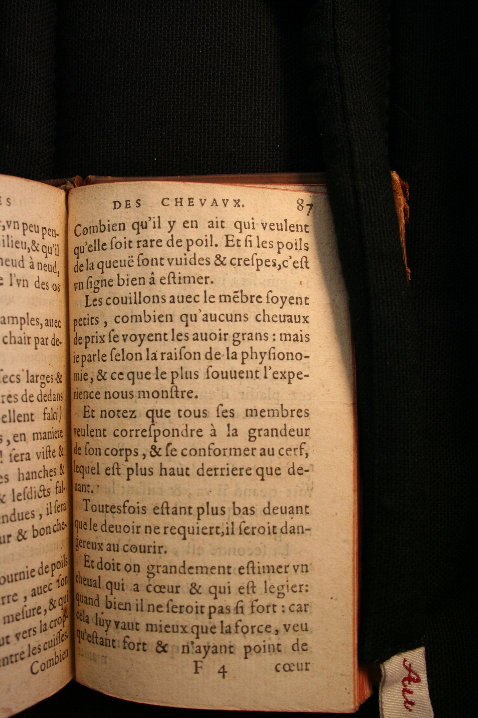 1591 - Pierre Chastaing et Benoît Rigaud - Trésor des bêtes chevalines - BM Bordeaux