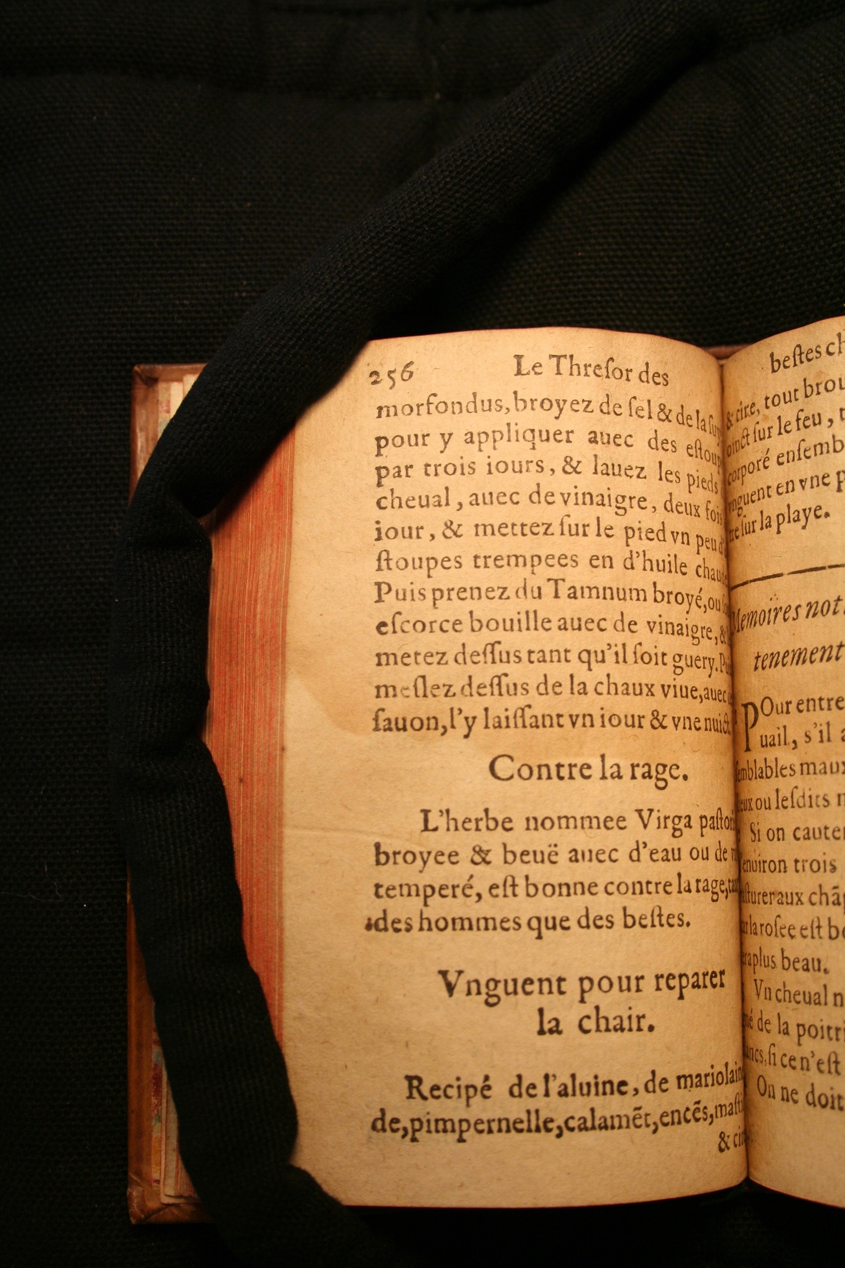 1591 - Pierre Chastaing et Benoît Rigaud - Trésor des bêtes chevalines - BM Bordeaux