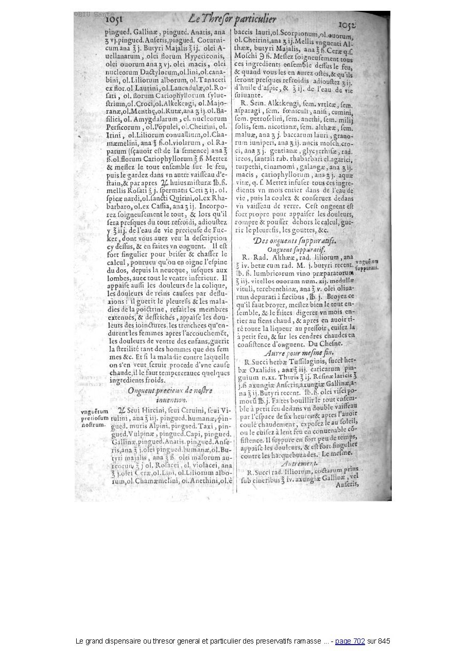 1609 - Étienne Gamonet - Grand dispensaire ou Trésor général et particulier des préservatifs - BIU Santé 1609 - Étienne Gamonet - Grand dispensaire ou Trésor général et particulier des préservatifs - BIU Santé