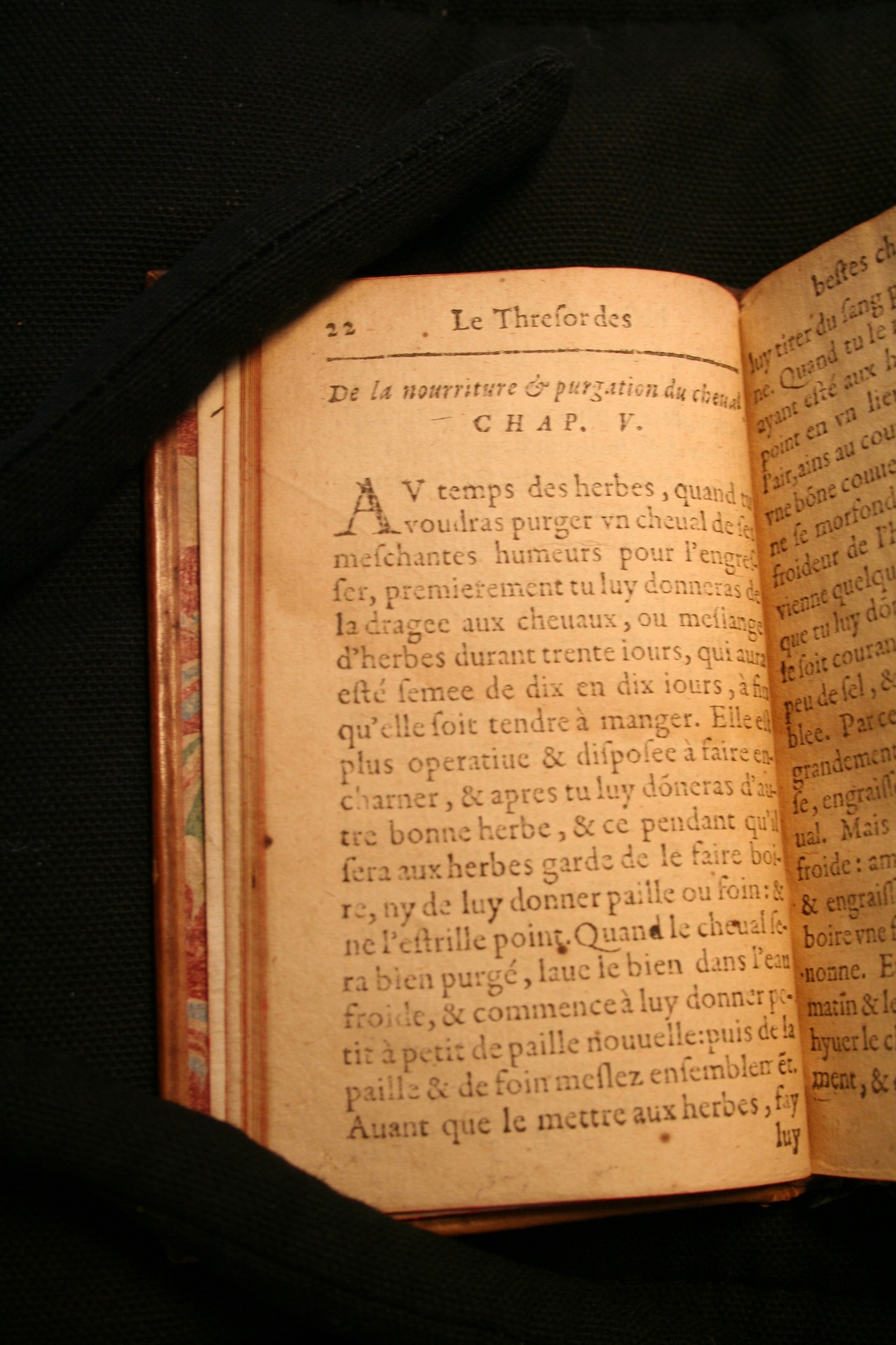 1591 - Pierre Chastaing et Benoît Rigaud - Trésor des bêtes chevalines - BM Bordeaux