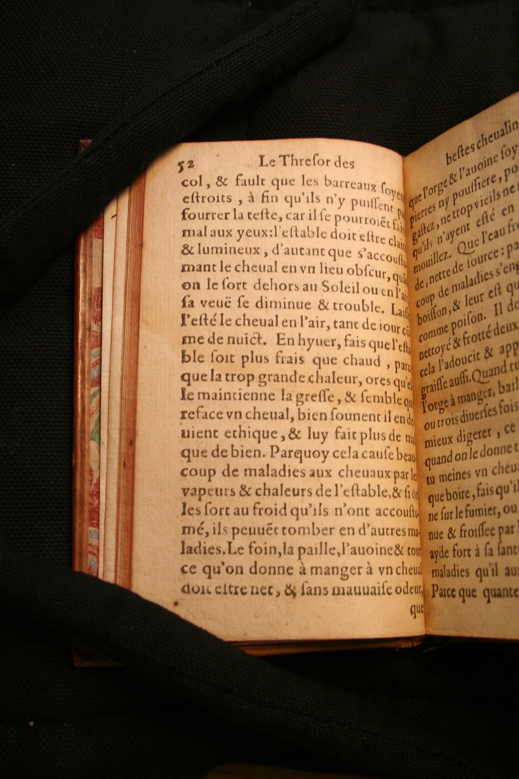 1591 - Pierre Chastaing et Benoît Rigaud - Trésor des bêtes chevalines - BM Bordeaux