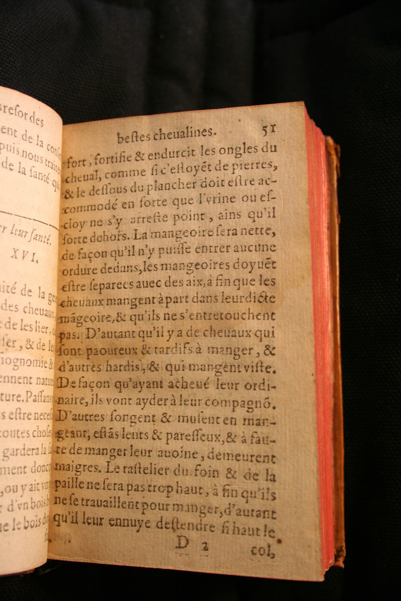 1591 - Pierre Chastaing et Benoît Rigaud - Trésor des bêtes chevalines - BM Bordeaux