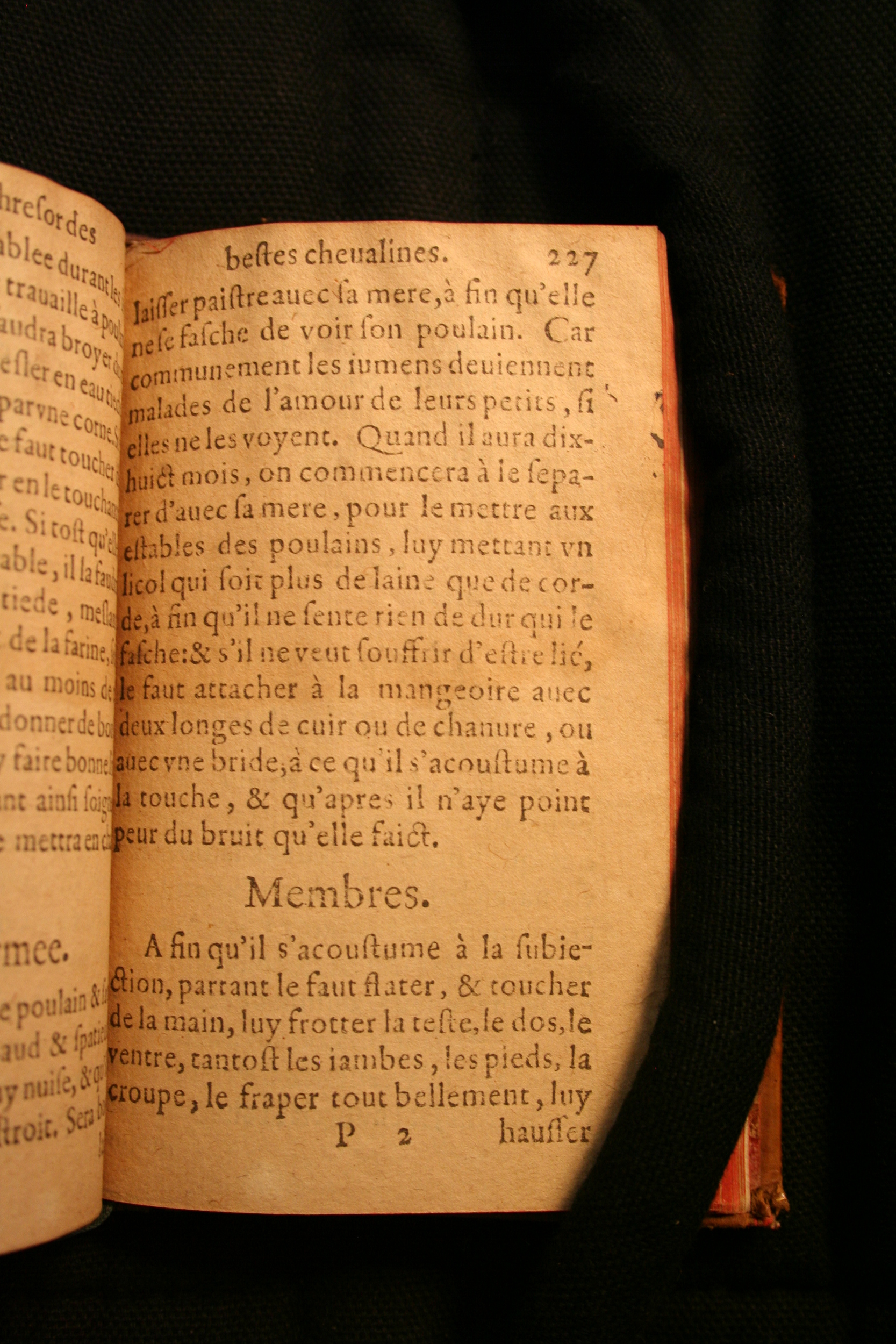 1591 - Pierre Chastaing et Benoît Rigaud - Trésor des bêtes chevalines - BM Bordeaux