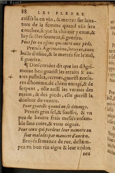 1586 - Benoît Rigaud - Trésor des fleurs et secrets de médecine - Université Paris Cité 1586 - Benoît Rigaud - Trésor des fleurs et secrets de médecine - Université Paris Cité
