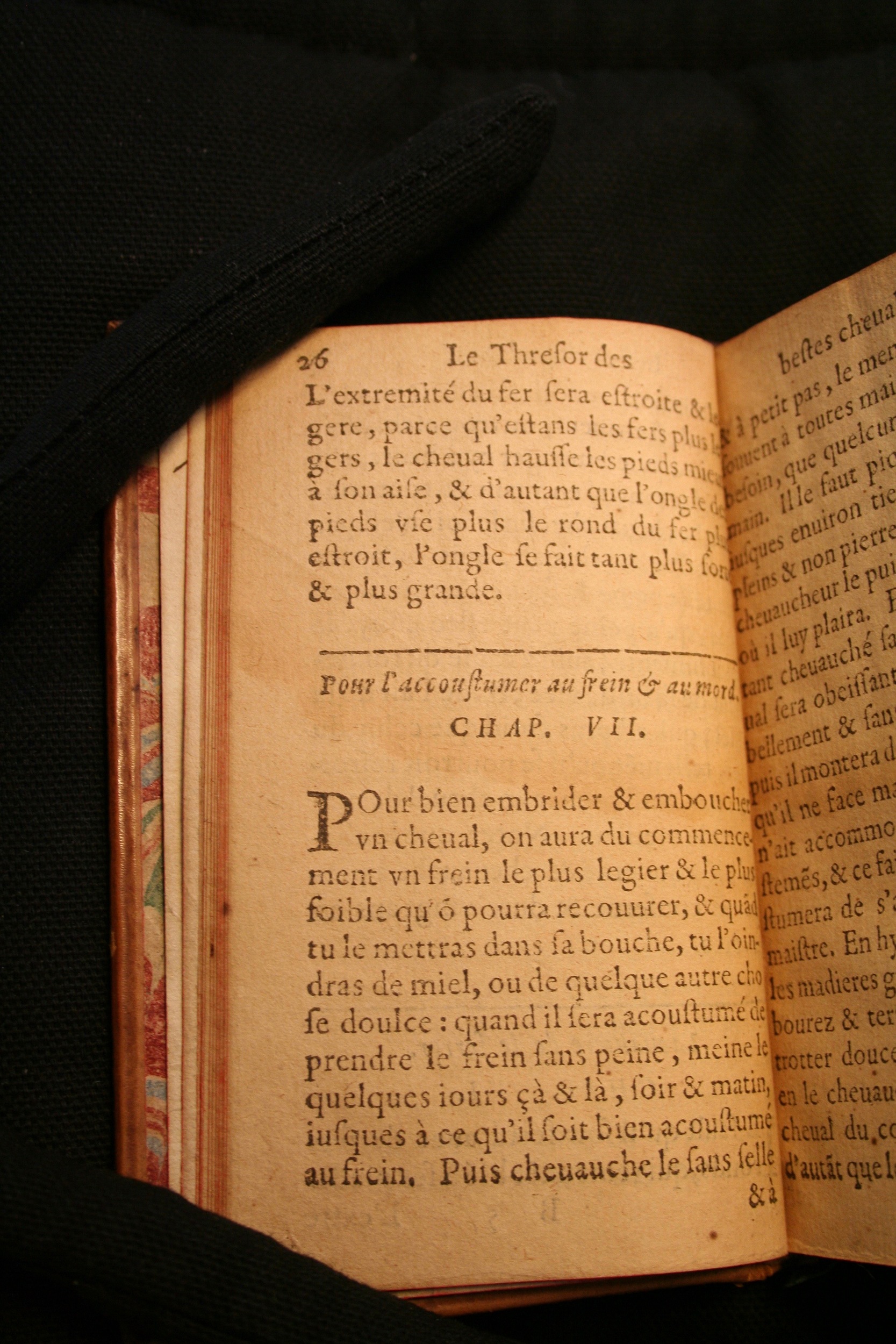 1591 - Pierre Chastaing et Benoît Rigaud - Trésor des bêtes chevalines - BM Bordeaux