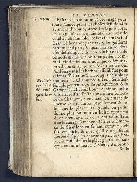 1590 - Benoît Rigaud - Trésor des pauvres - Mucem