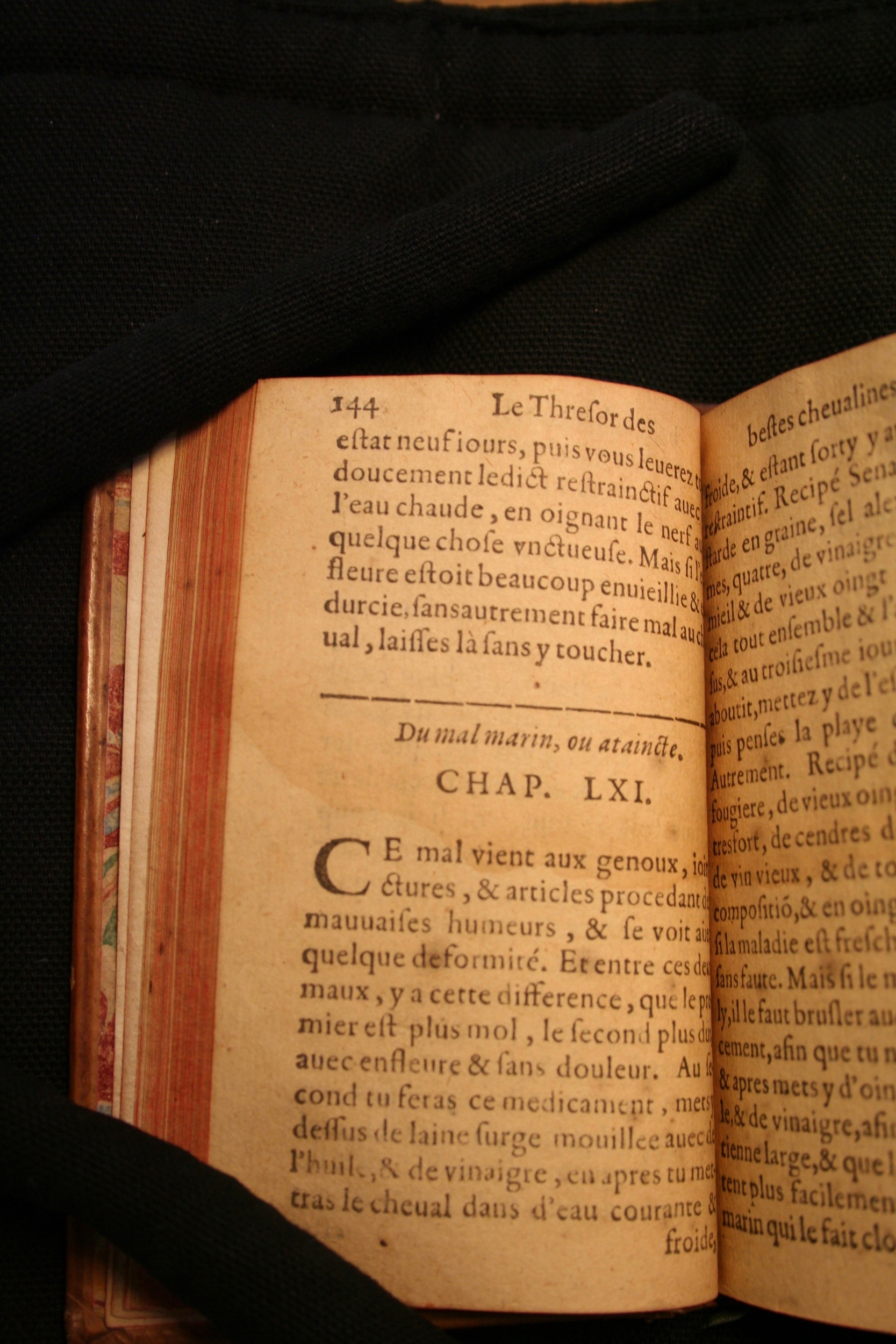 1591 - Pierre Chastaing et Benoît Rigaud - Trésor des bêtes chevalines - BM Bordeaux