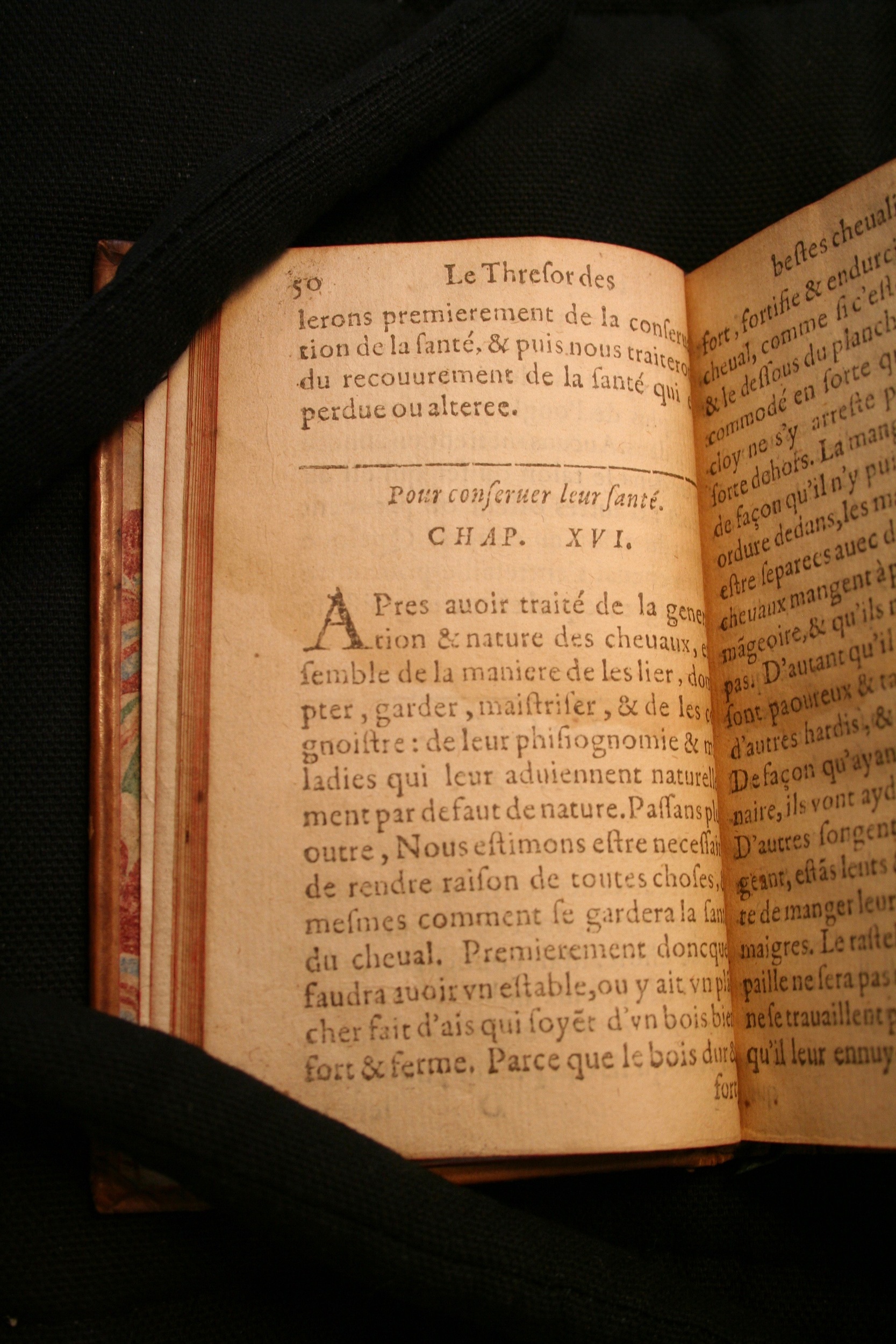 1591 - Pierre Chastaing et Benoît Rigaud - Trésor des bêtes chevalines - BM Bordeaux