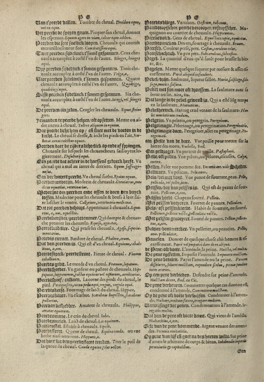 1573 - Christophe Plantin - Trésor du langage bas-allemand - Greifswald