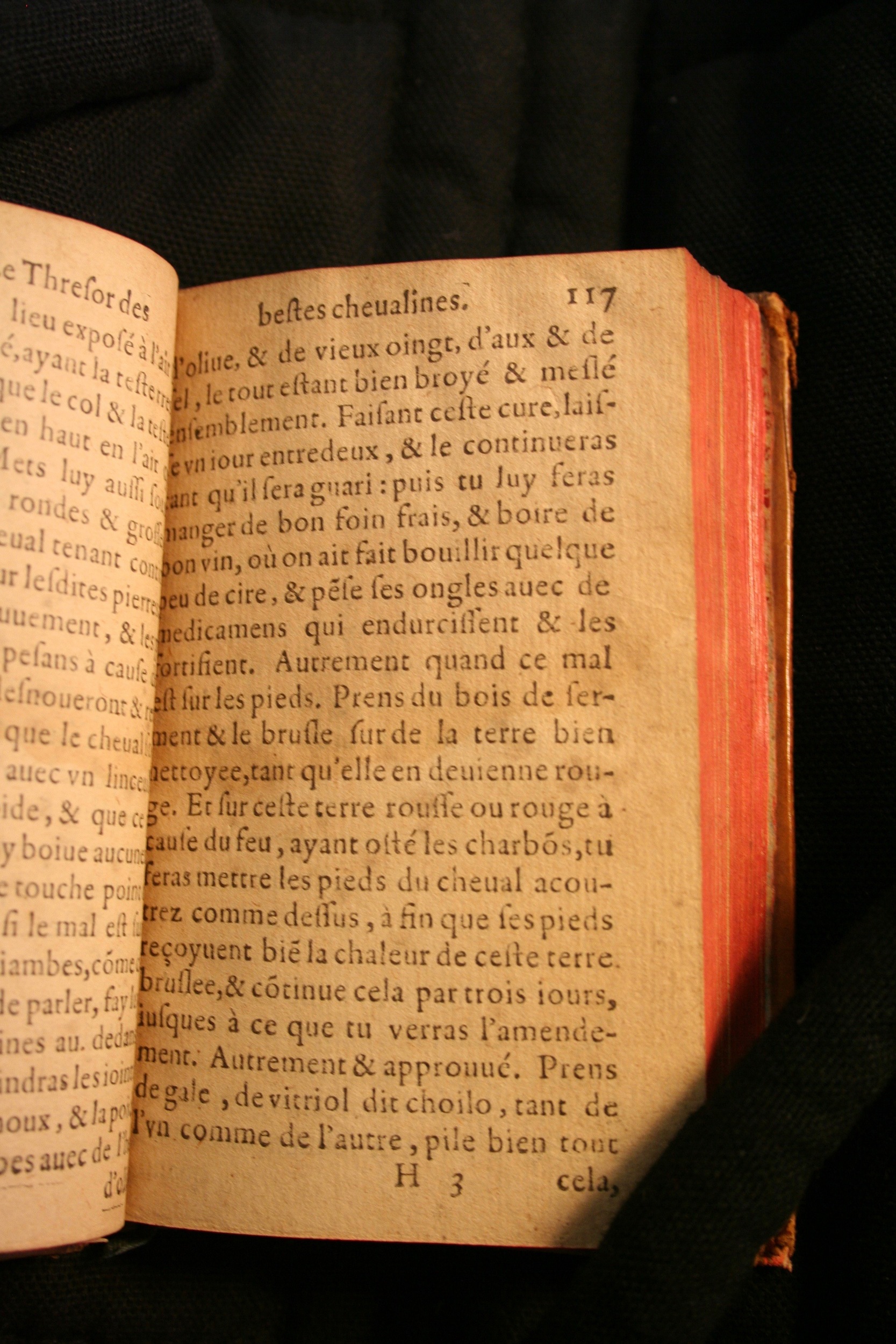 1591 - Pierre Chastaing et Benoît Rigaud - Trésor des bêtes chevalines - BM Bordeaux