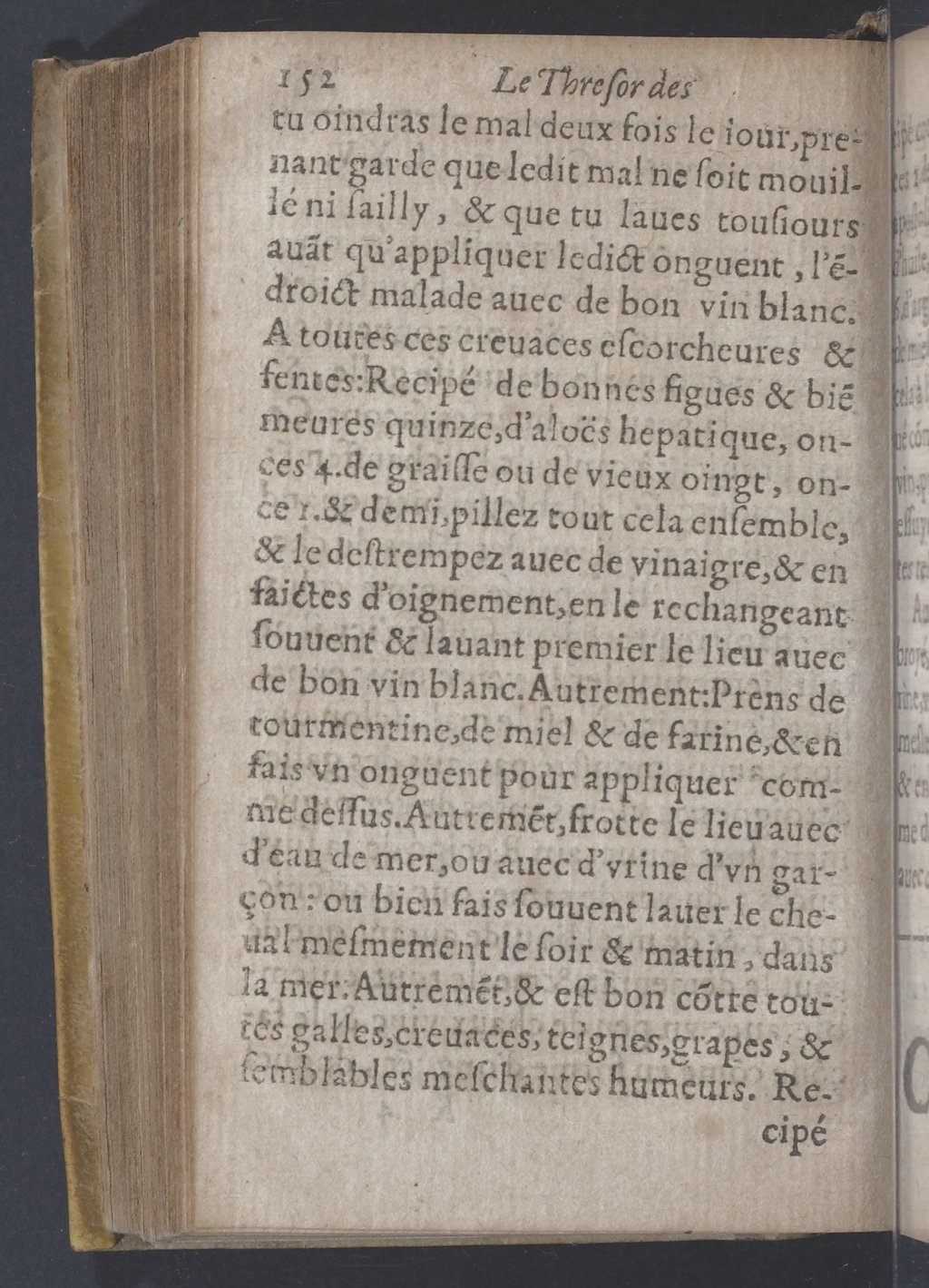 1619 - Pierre Rigaud - Trésor des bêtes chevalines - BnF 1619 - Pierre Rigaud - Trésor des bêtes chevalines - BnF