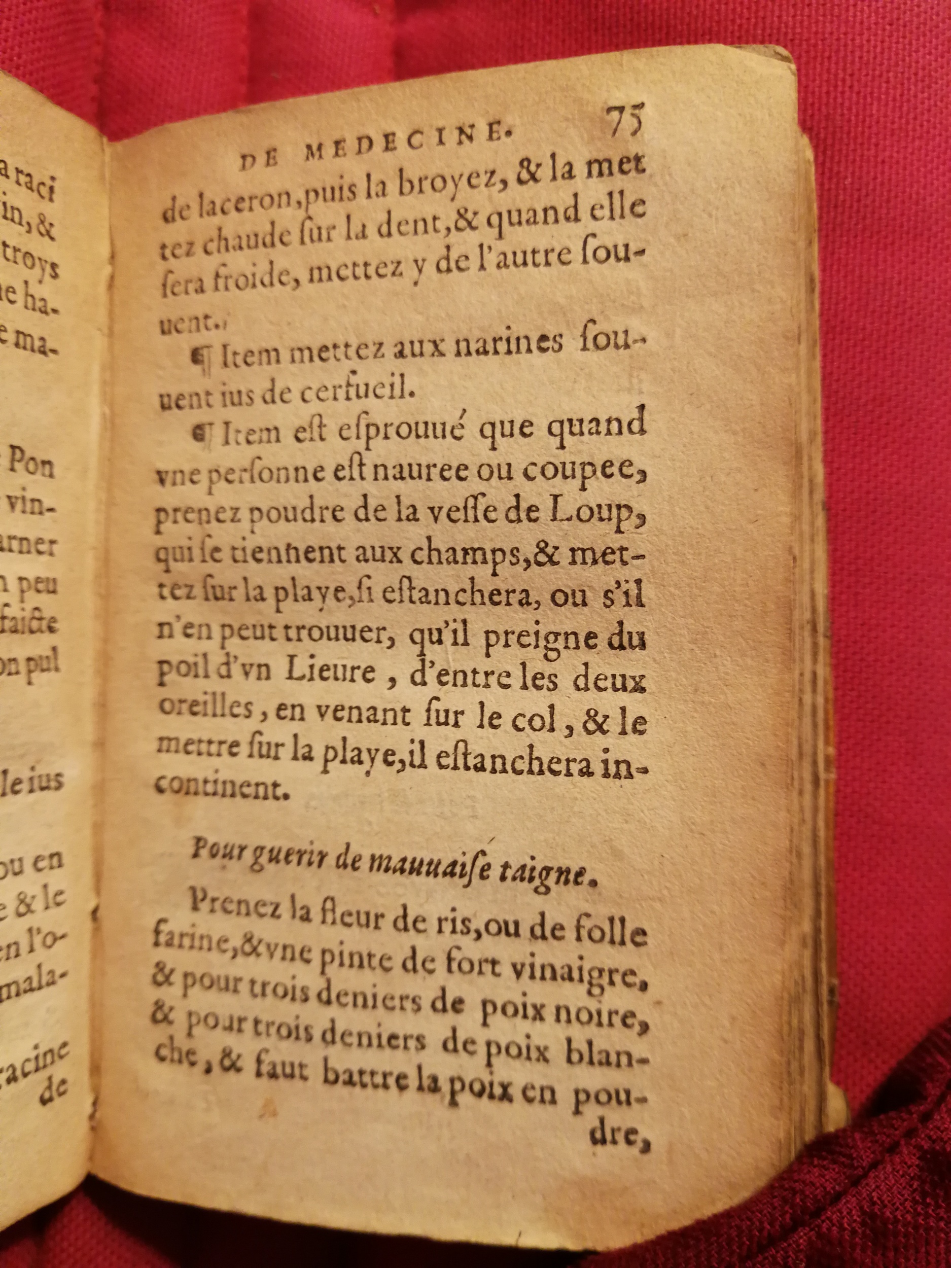 1586 - Benoît Rigaud - Trésor des fleurs et secrets de médecine - Sainte-Geneviève