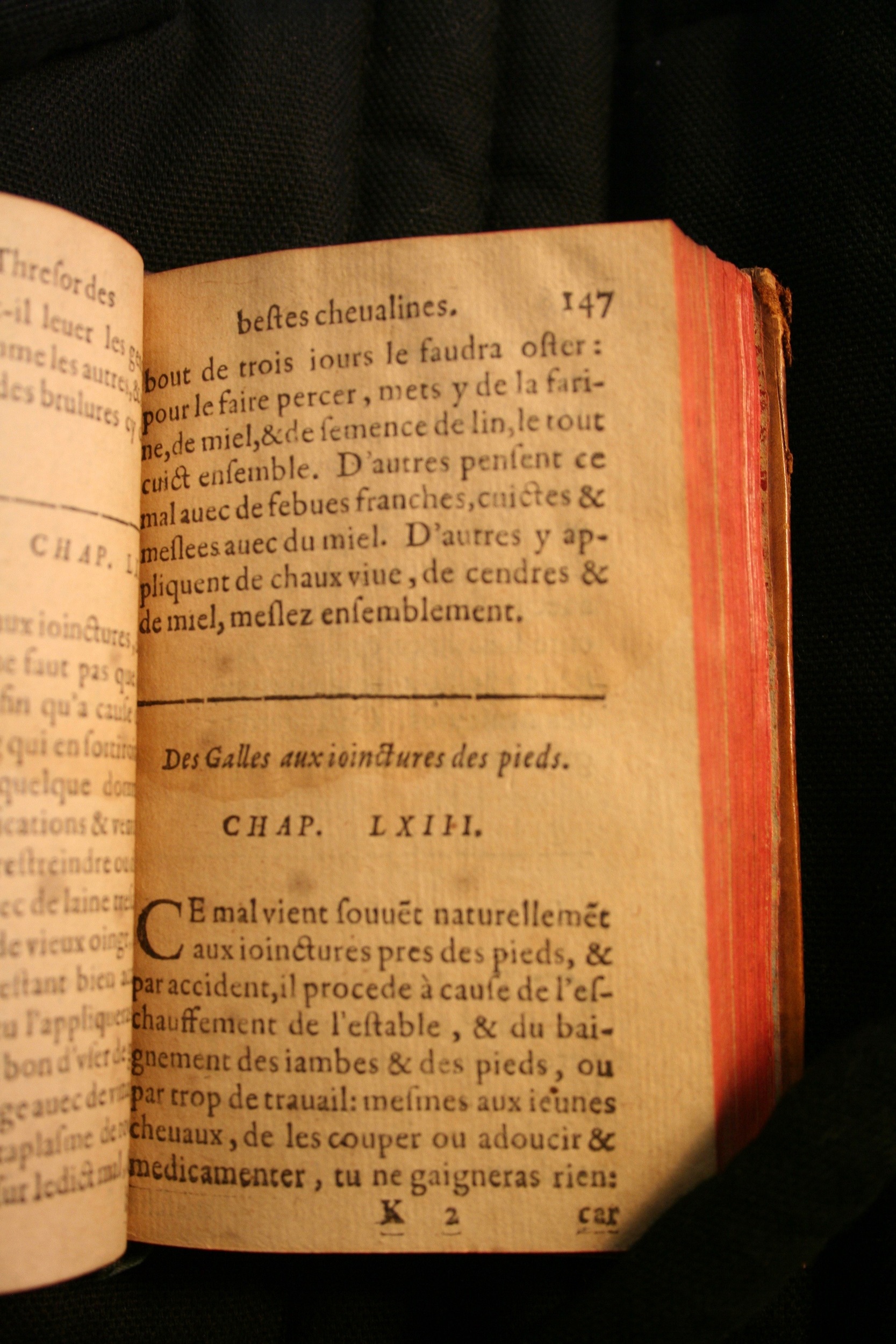 1591 - Pierre Chastaing et Benoît Rigaud - Trésor des bêtes chevalines - BM Bordeaux