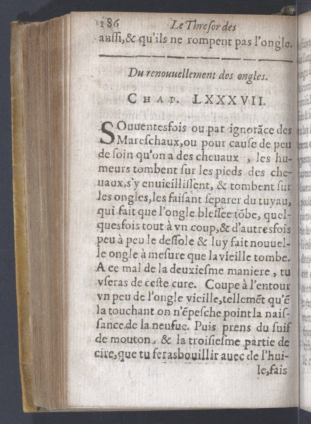 1619 - Pierre Rigaud - Trésor des bêtes chevalines - BnF 1619 - Pierre Rigaud - Trésor des bêtes chevalines - BnF