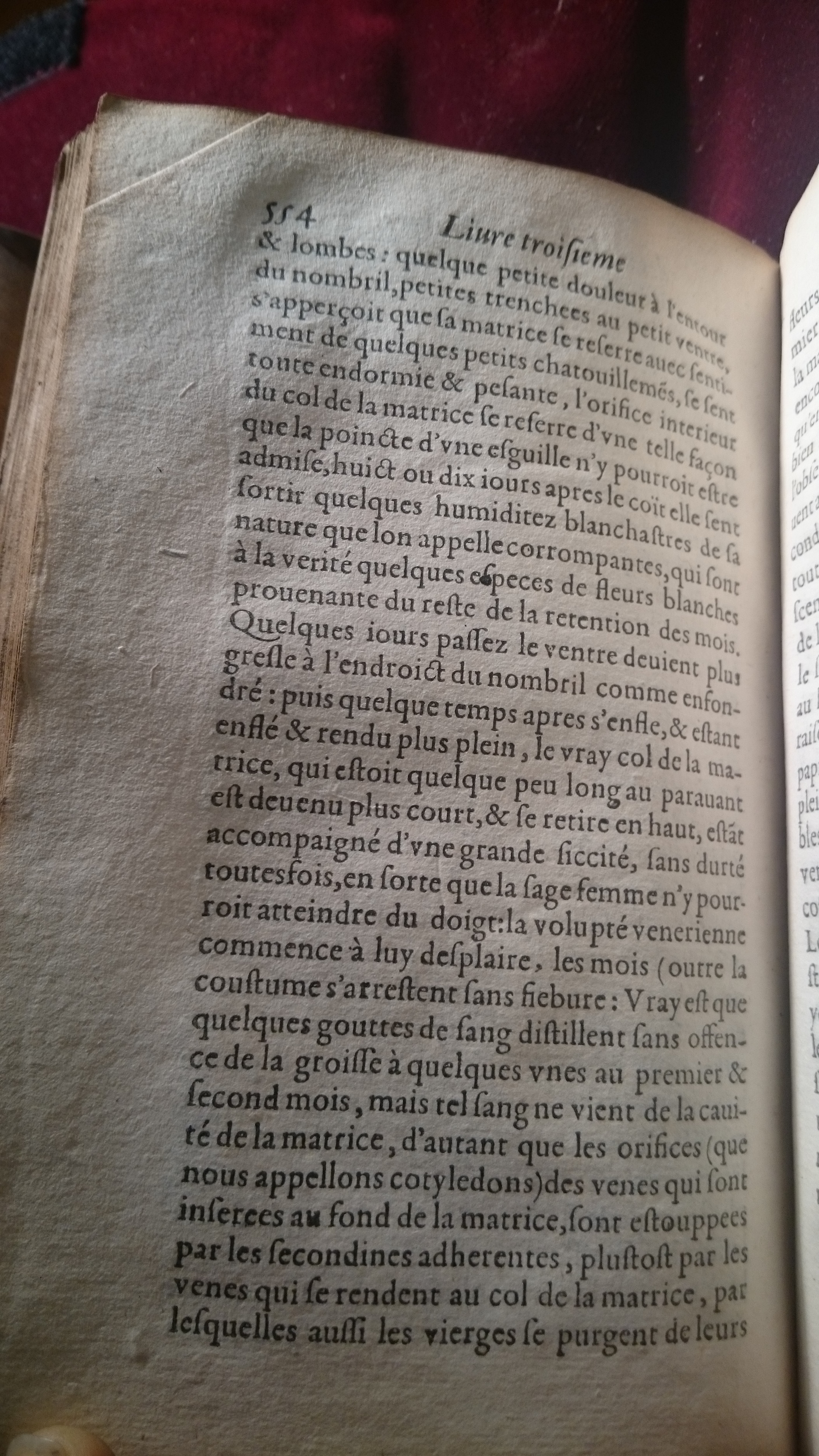 1587 - Jacques du Puis - Trésor des remèdes secrets pour les maladies des femmes - BM Amiens