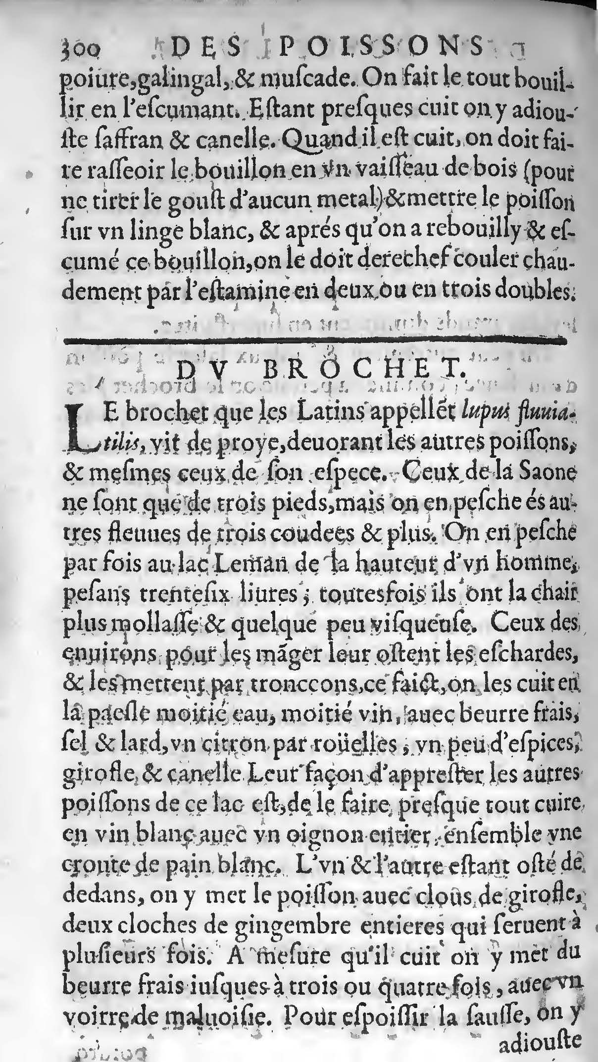 1607 - Étienne Servain et Jean Antoine Huguetan - Trésor de santé ou ménage de la vie humaine - BIU Santé