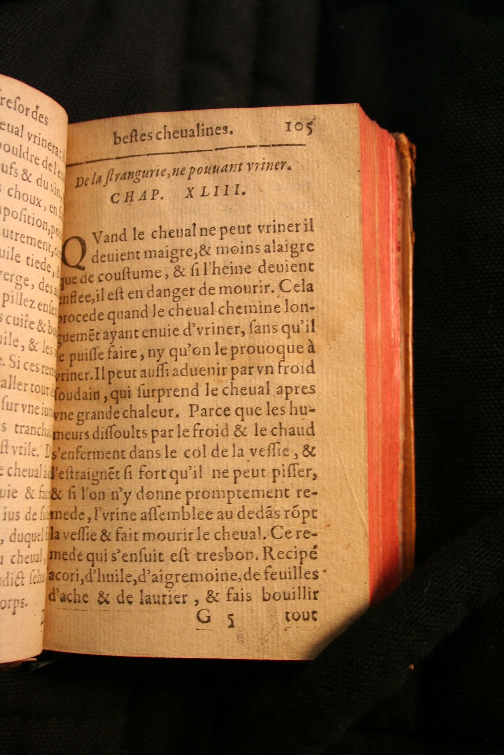 1591 - Pierre Chastaing et Benoît Rigaud - Trésor des bêtes chevalines - BM Bordeaux