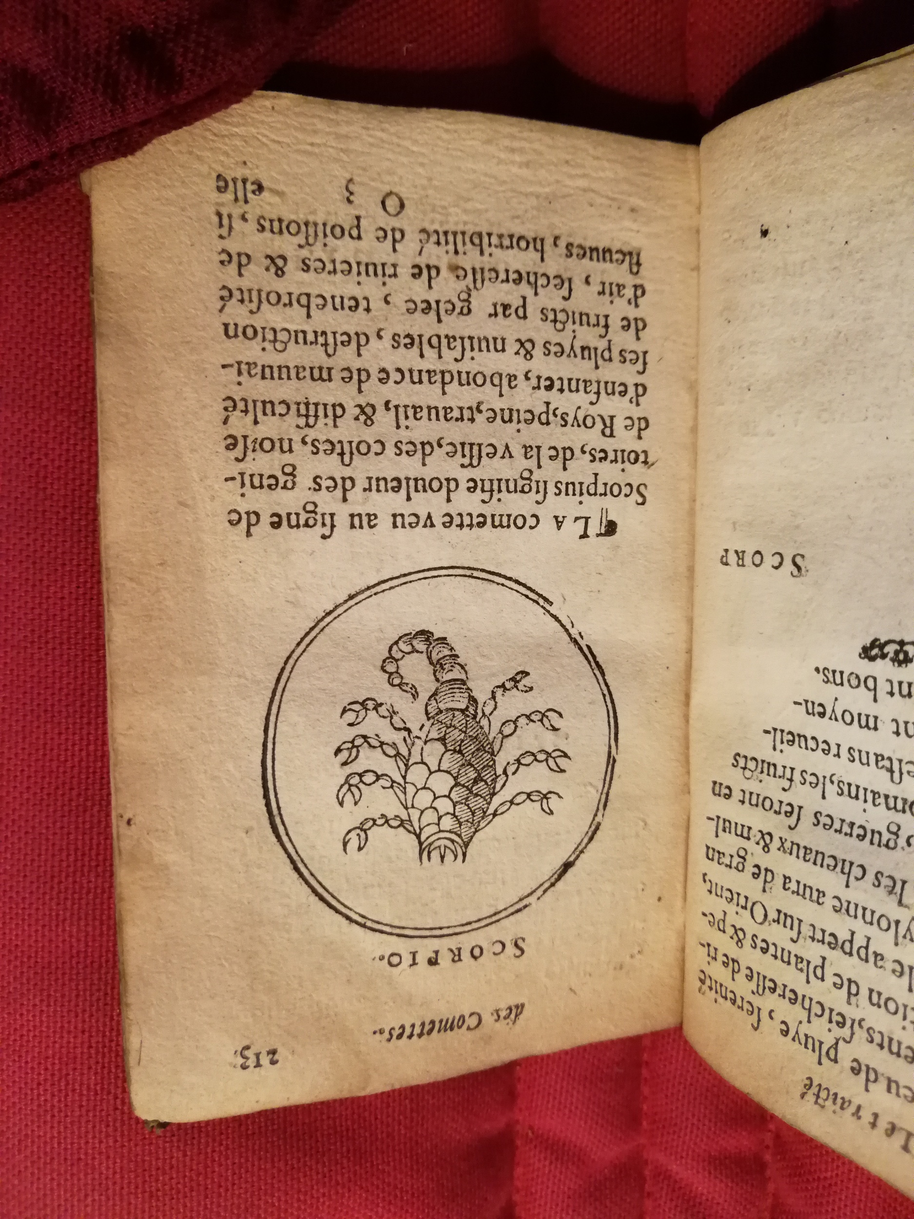 1586 - Benoît Rigaud - Trésor des fleurs et secrets de médecine - Sainte-Geneviève