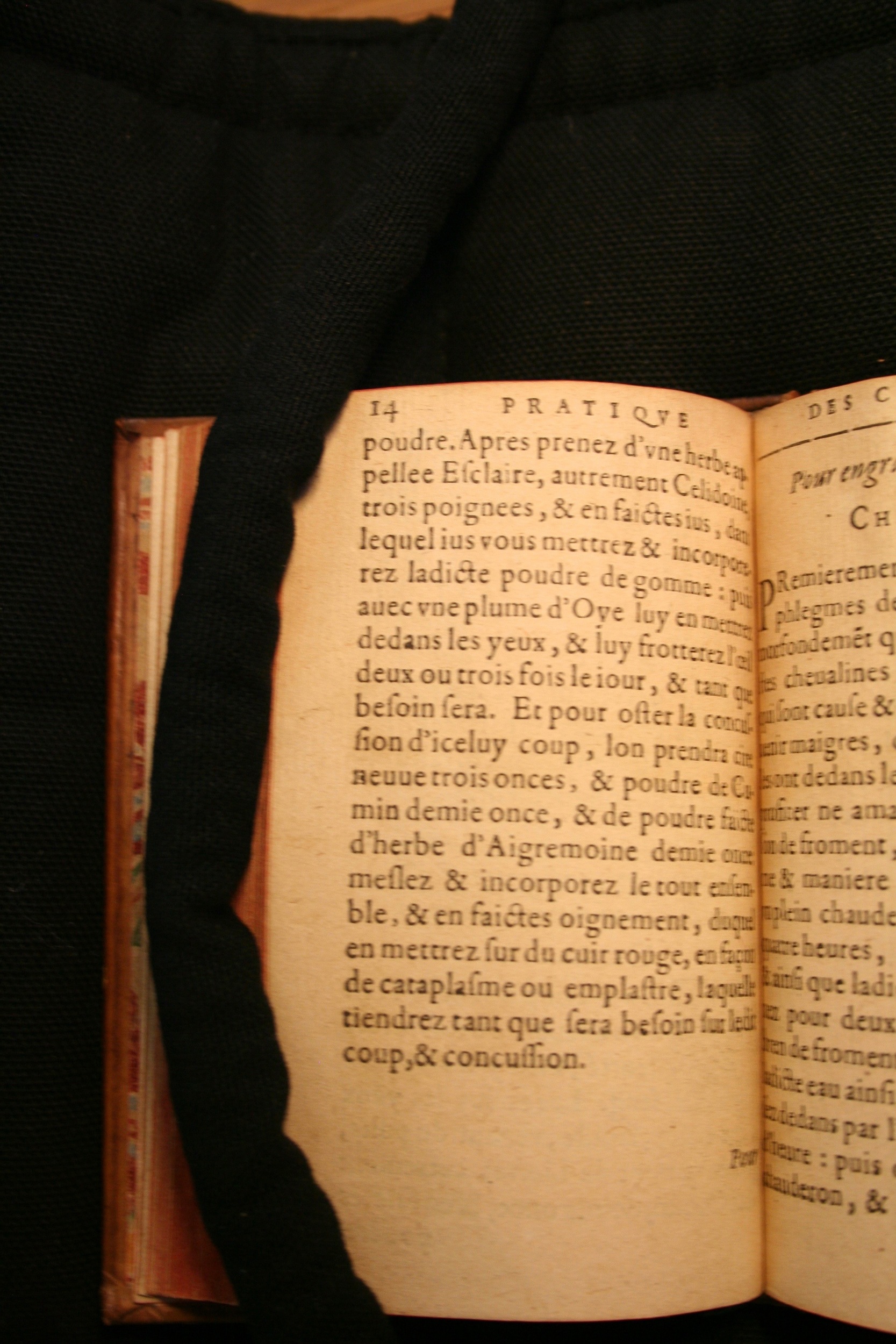 1591 - Pierre Chastaing et Benoît Rigaud - Trésor des bêtes chevalines - BM Bordeaux
