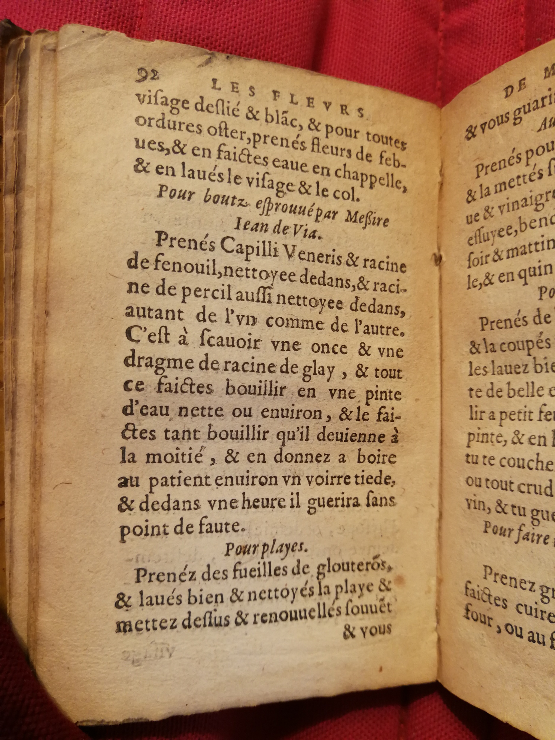 1586 - Benoît Rigaud - Trésor des fleurs et secrets de médecine - Sainte-Geneviève