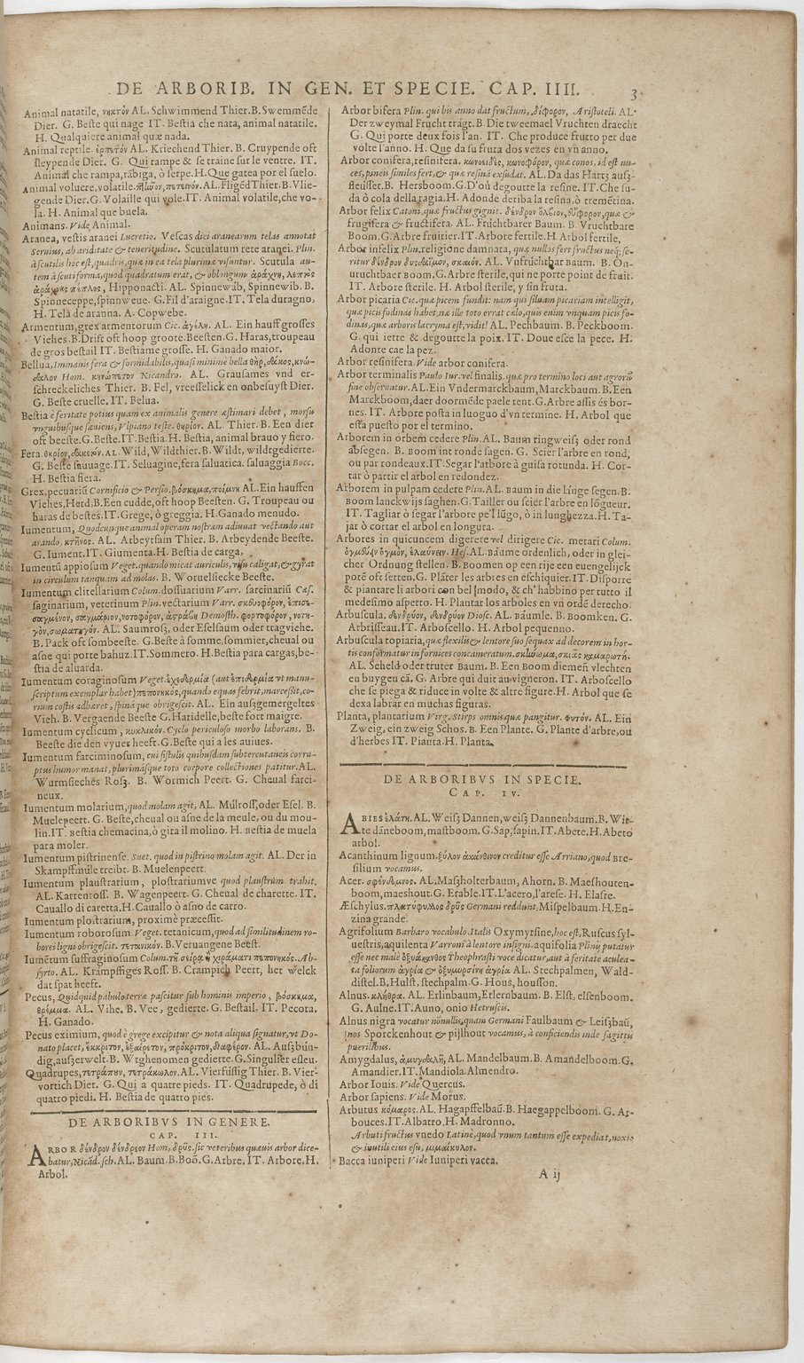 1606 - David Douceur - Trésor de la langue française - BnF