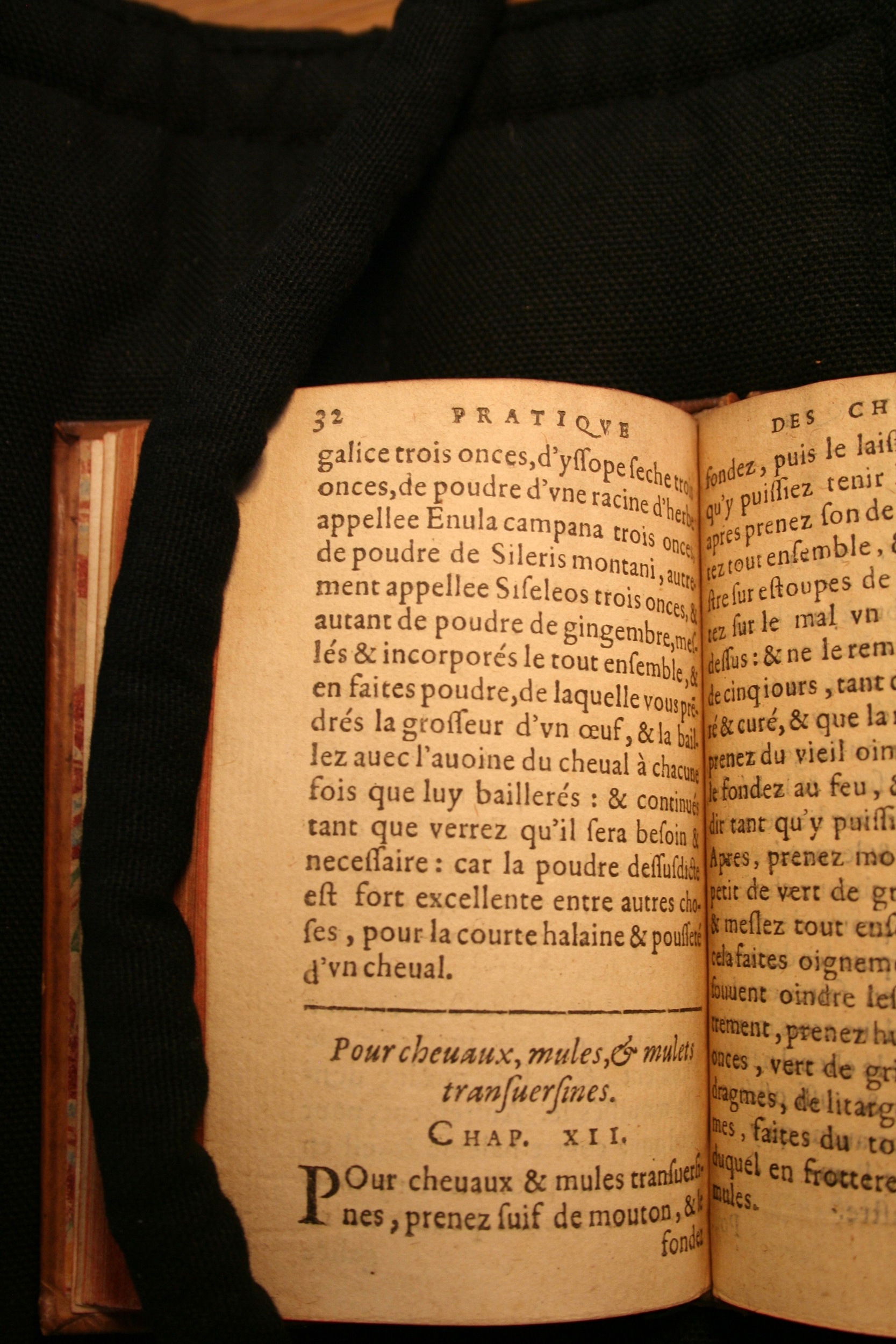 1591 - Pierre Chastaing et Benoît Rigaud - Trésor des bêtes chevalines - BM Bordeaux