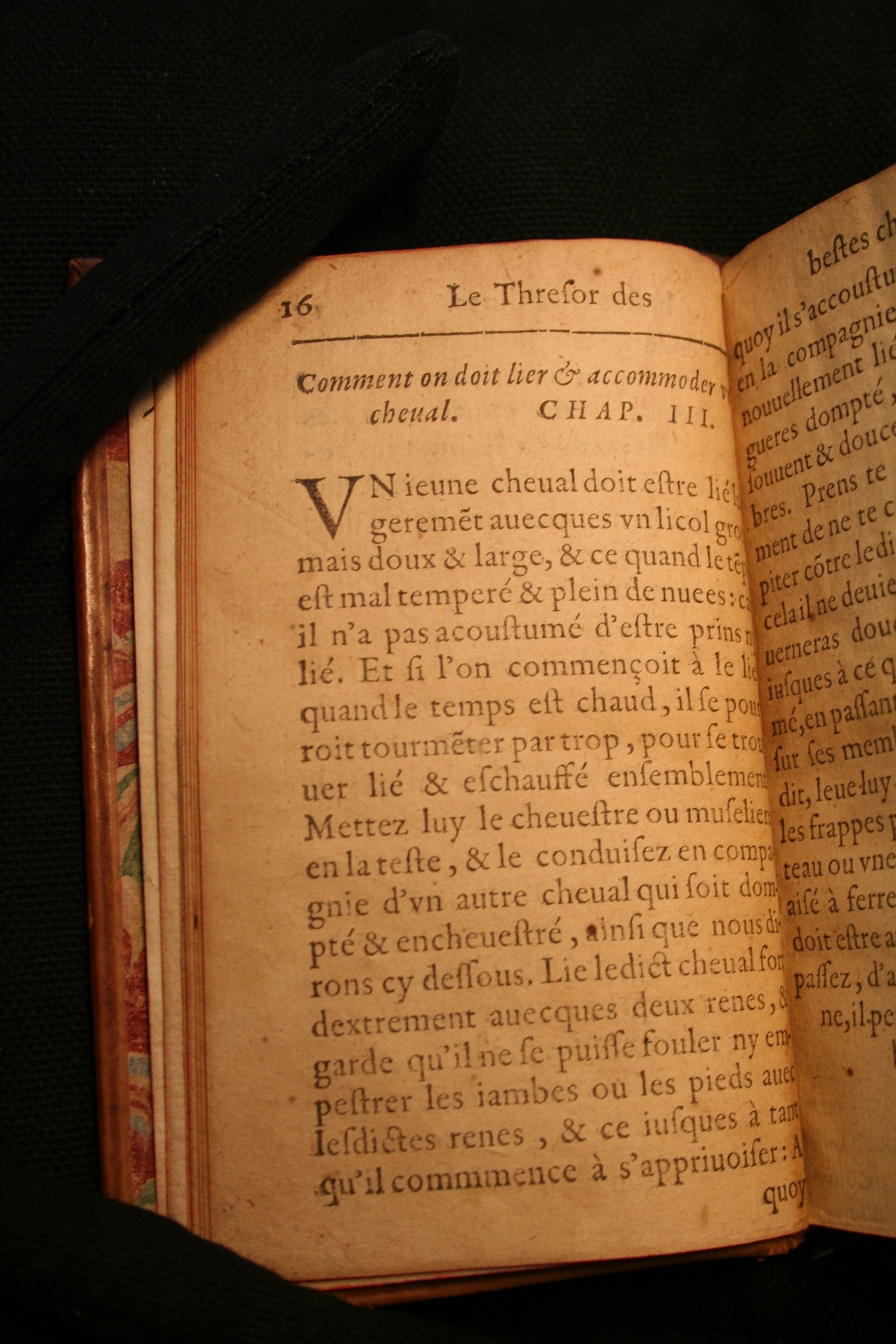 1591 - Pierre Chastaing et Benoît Rigaud - Trésor des bêtes chevalines - BM Bordeaux