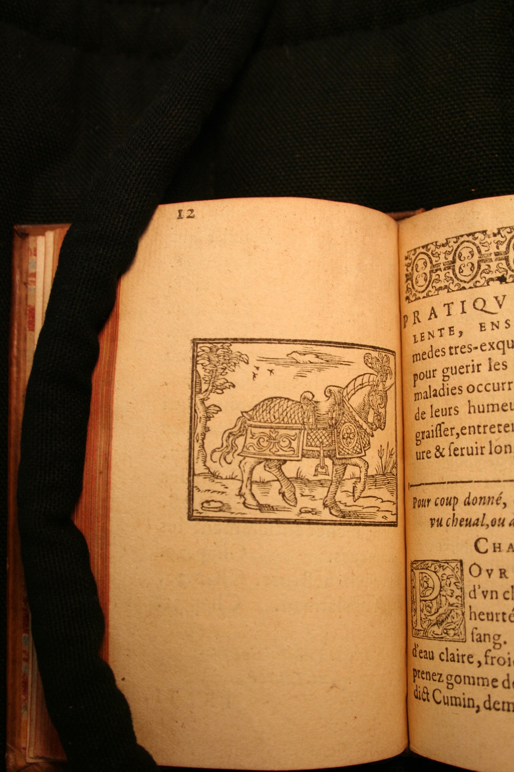 1591 - Pierre Chastaing et Benoît Rigaud - Trésor des bêtes chevalines - BM Bordeaux