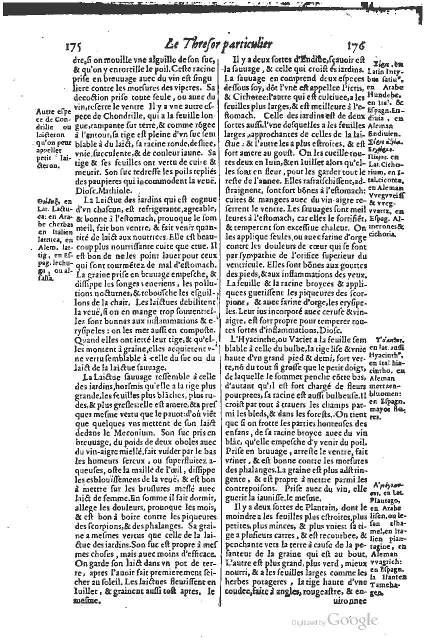 1616 - Étienne Gamonet - Grand trésor ou dispensaire - BSB Munich