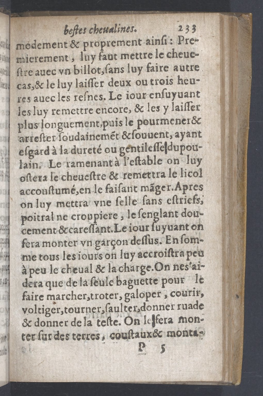 1619 - Pierre Rigaud - Trésor des bêtes chevalines - BnF 1619 - Pierre Rigaud - Trésor des bêtes chevalines - BnF