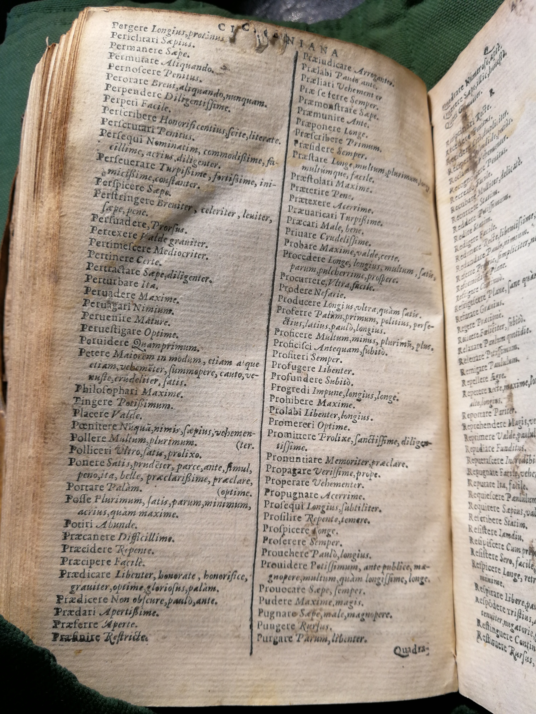 1597 - Martin le Mégissier - Trésor des mots et traits français - BnF