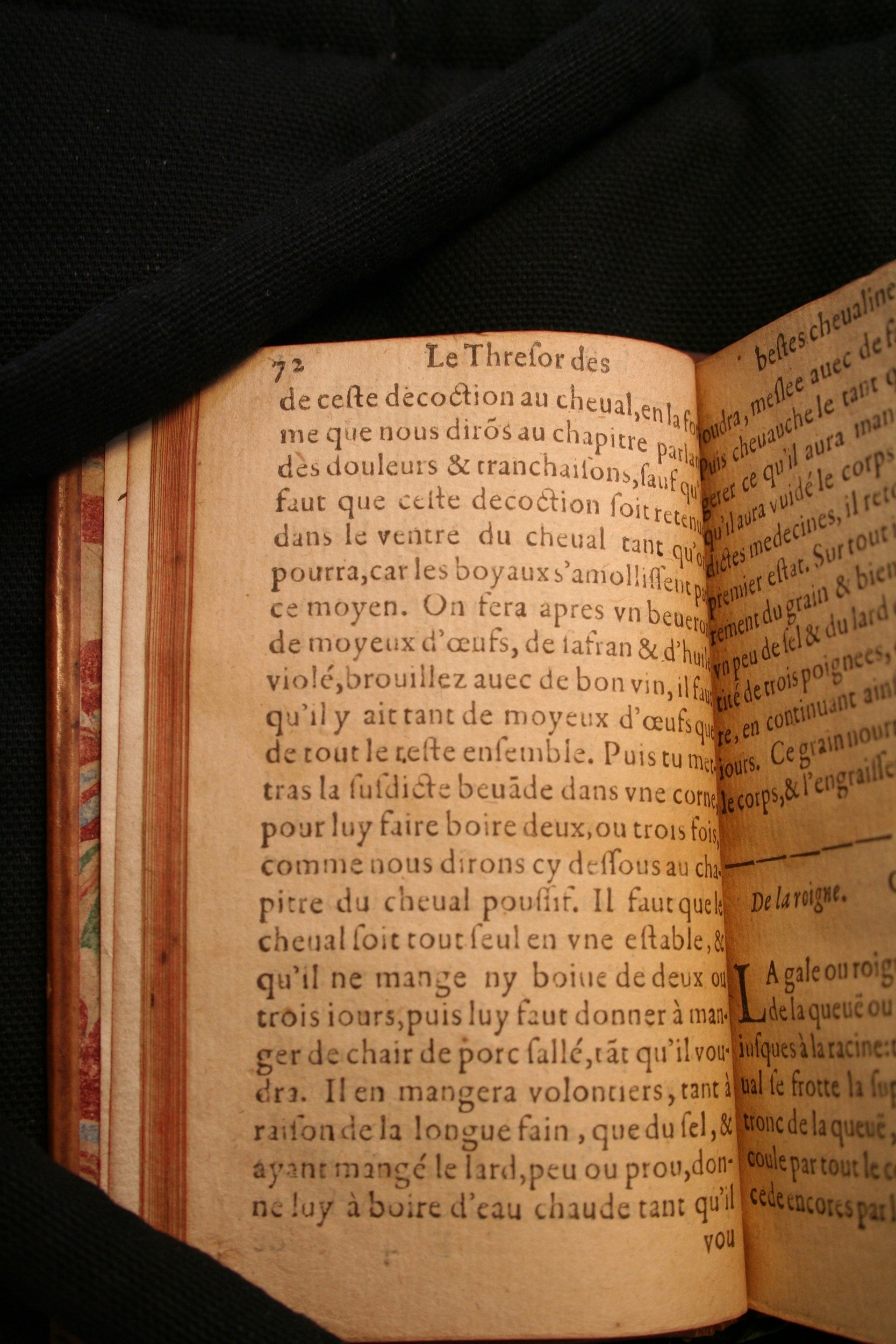 1591 - Pierre Chastaing et Benoît Rigaud - Trésor des bêtes chevalines - BM Bordeaux