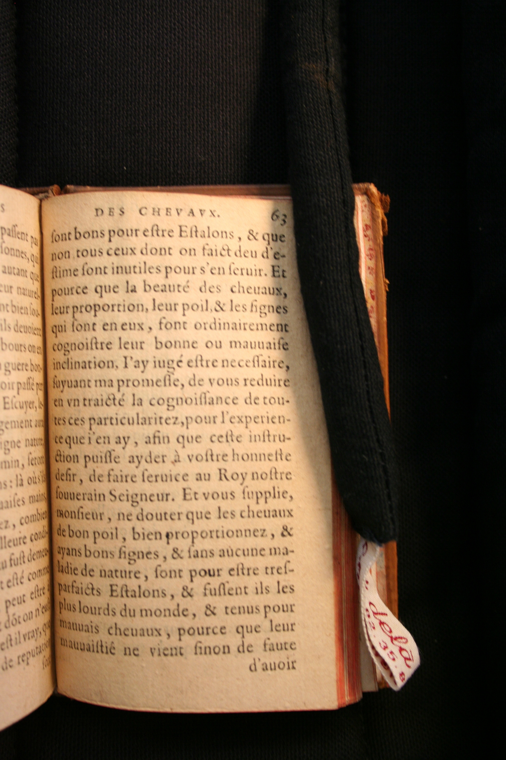 1591 - Pierre Chastaing et Benoît Rigaud - Trésor des bêtes chevalines - BM Bordeaux