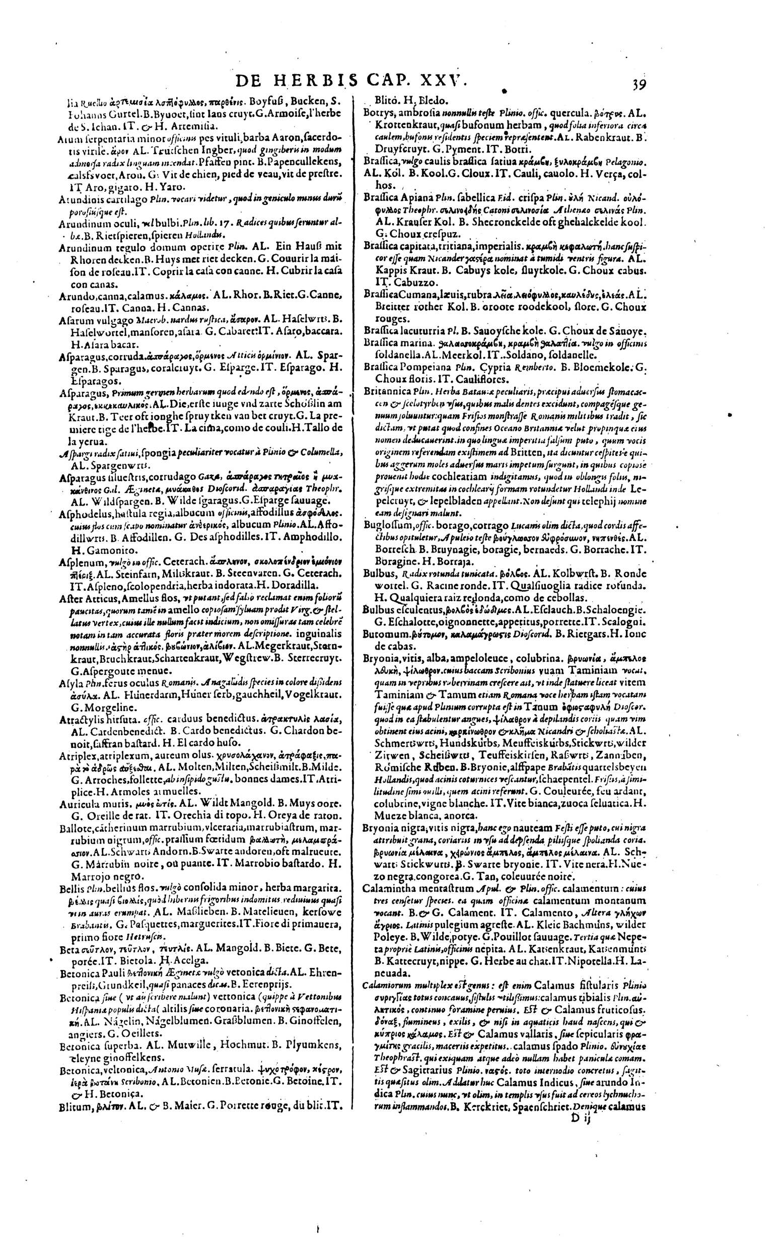 1606 - David Douceur - Trésor de la langue française - BM Lyon