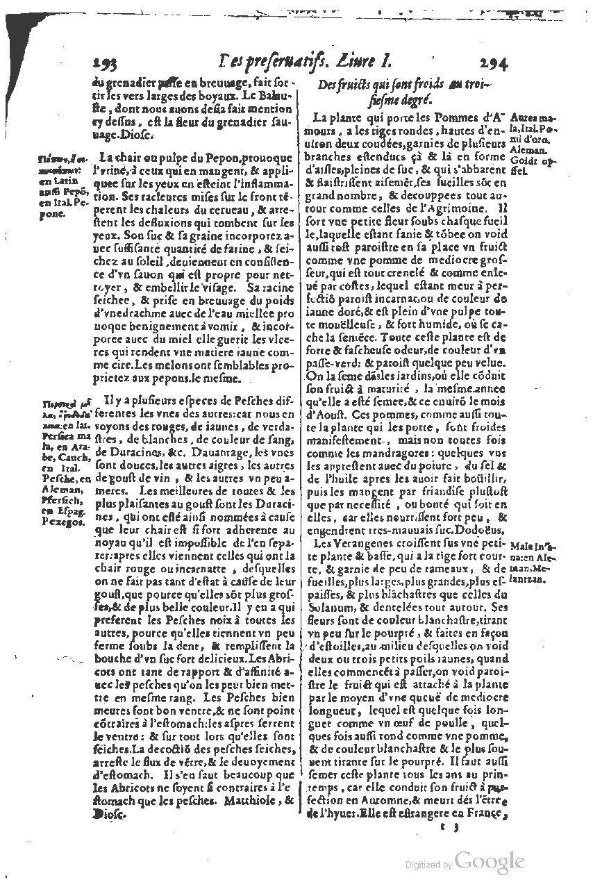 1616 - Étienne Gamonet - Grand trésor ou dispensaire - BSB Munich