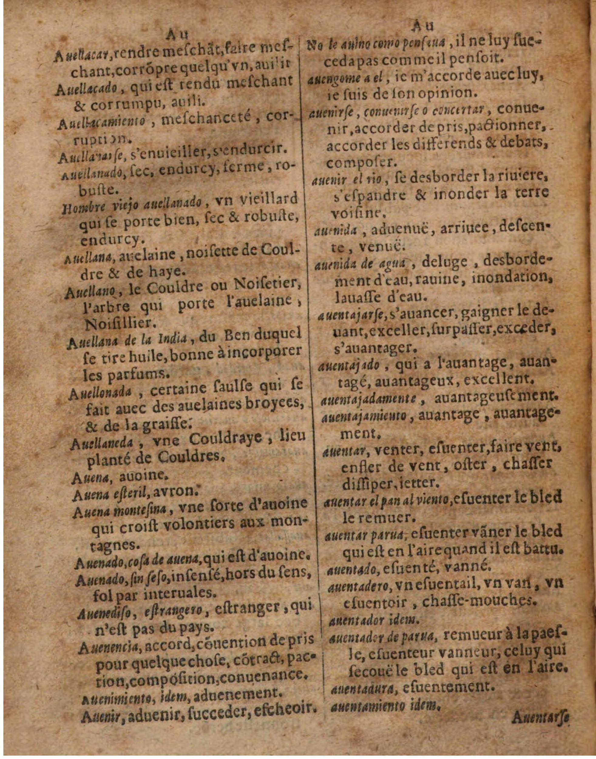 1625 - Thresor des deux langues - Augsburg-104.jpeg