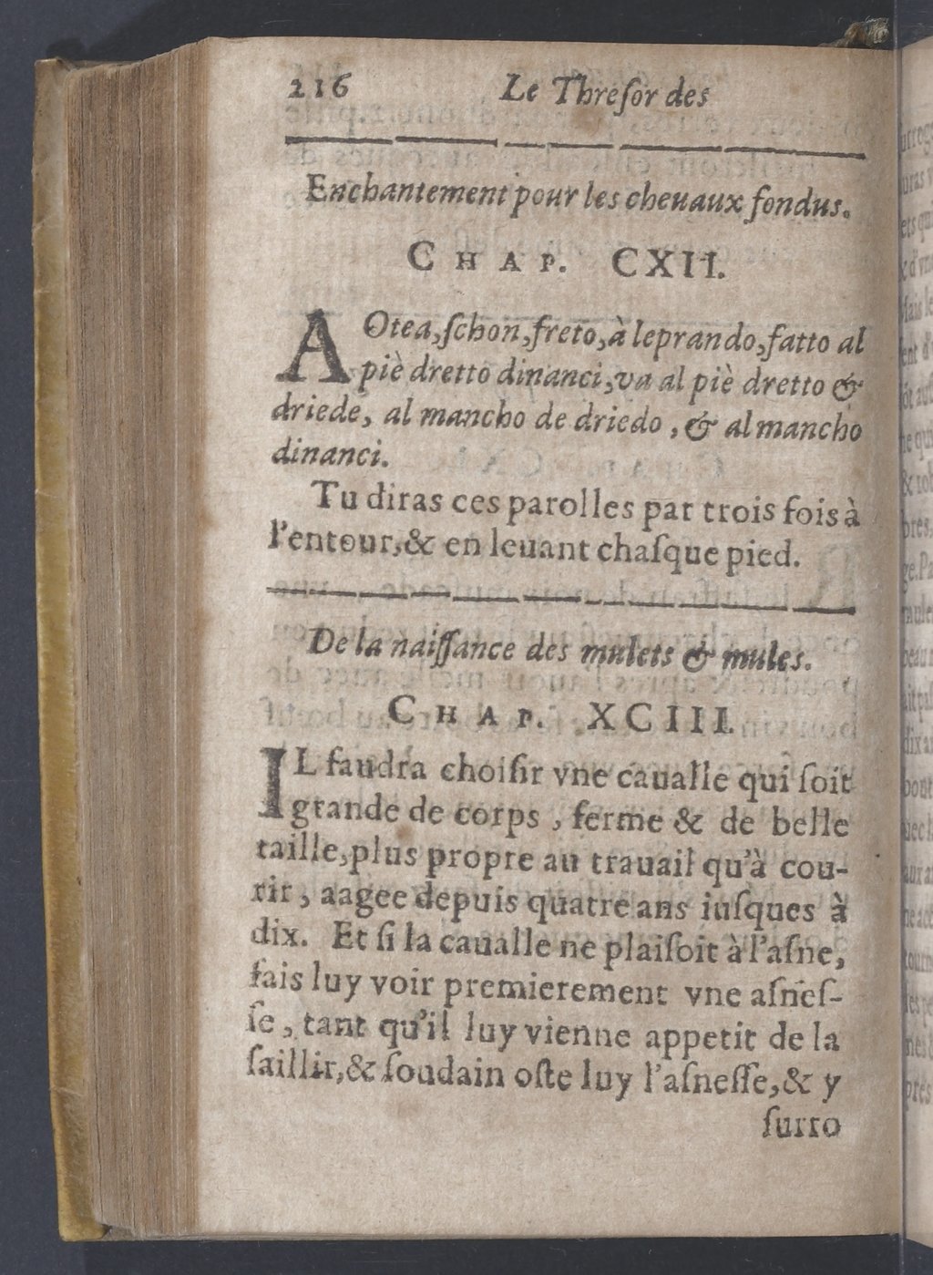 1619 - Pierre Rigaud - Trésor des bêtes chevalines - BnF 1619 - Pierre Rigaud - Trésor des bêtes chevalines - BnF