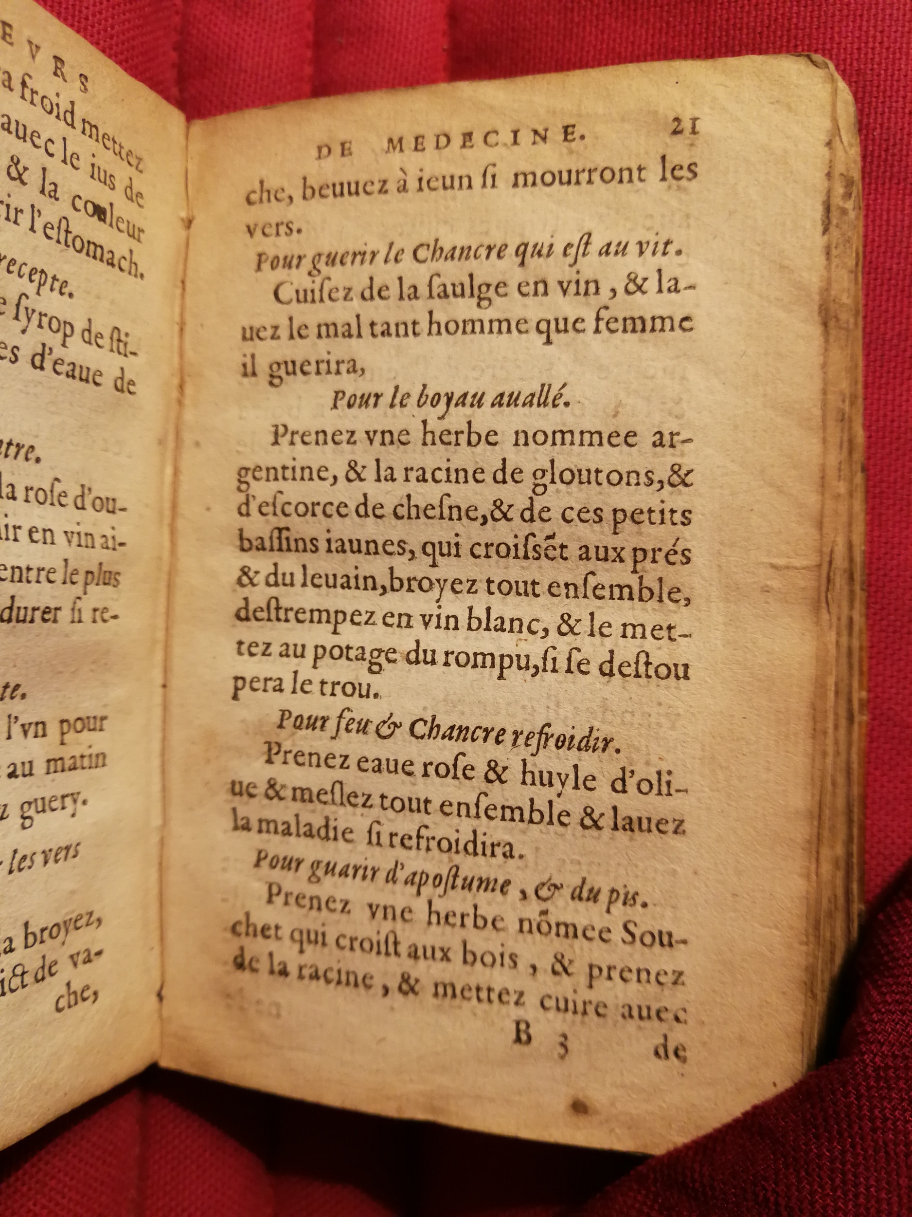 1586 - Benoît Rigaud - Trésor des fleurs et secrets de médecine - Sainte-Geneviève