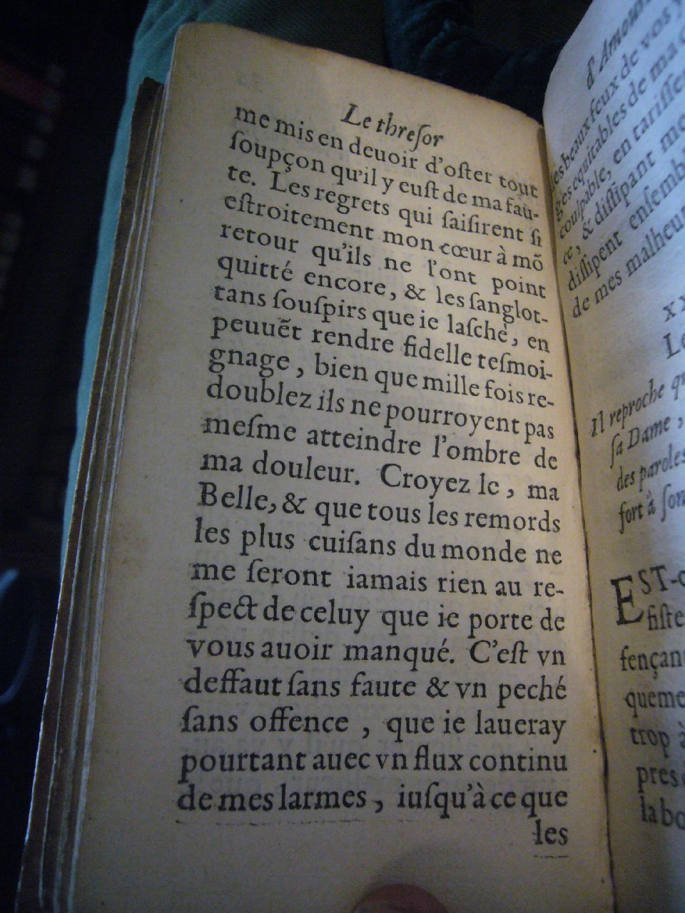 1597 - Matthieu Guillemot - Trésor d’amour - BnF Arsenal