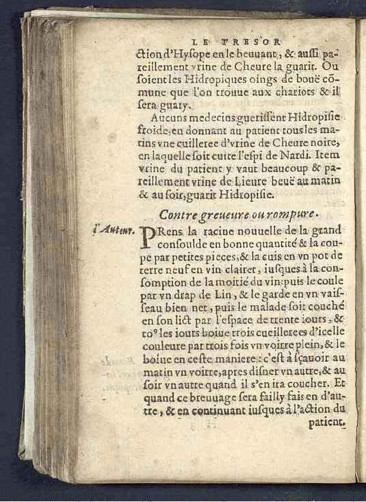 1590 - Benoît Rigaud - Trésor des pauvres - Mucem